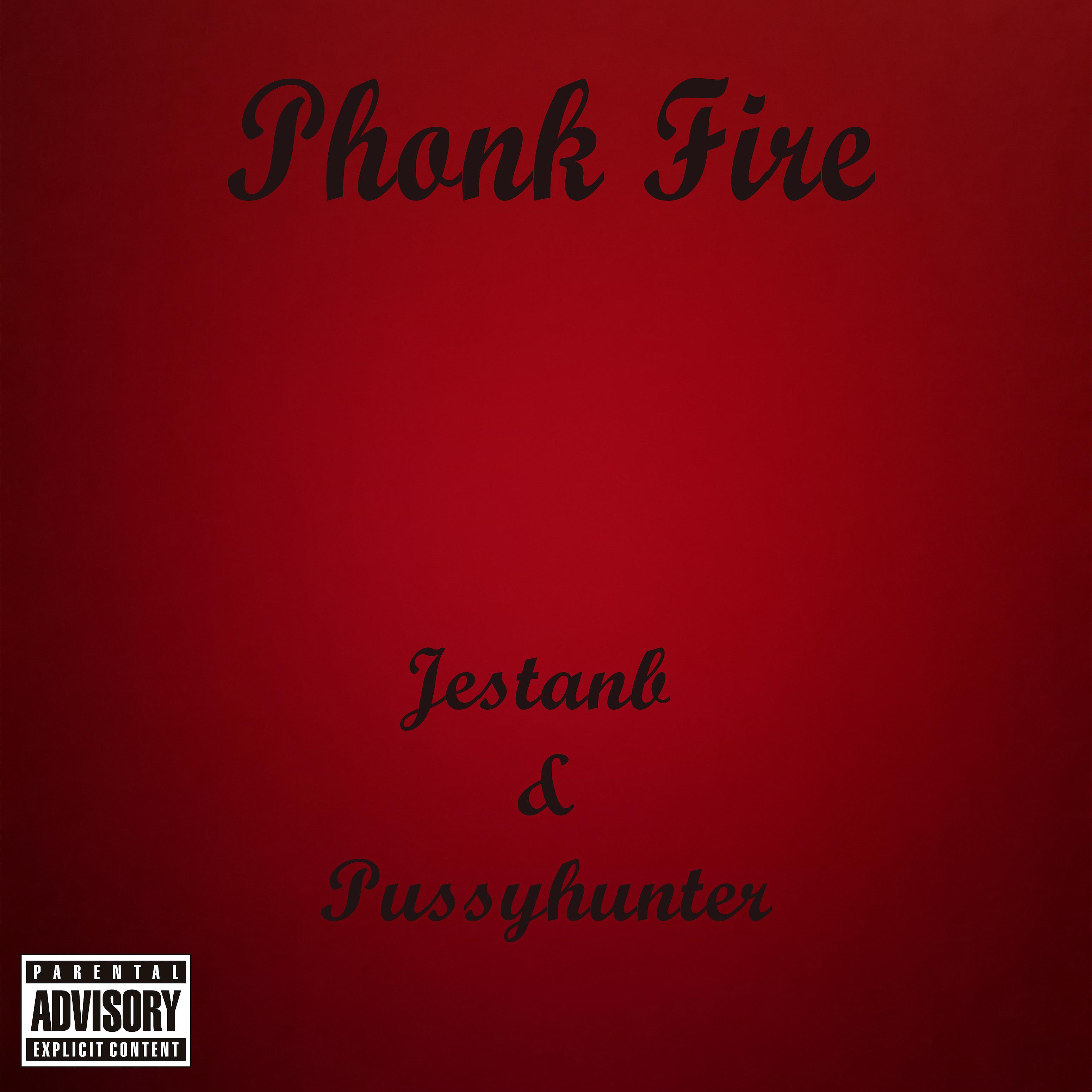 Постер альбома Phonk Fire (feat. Pussyhunter)
