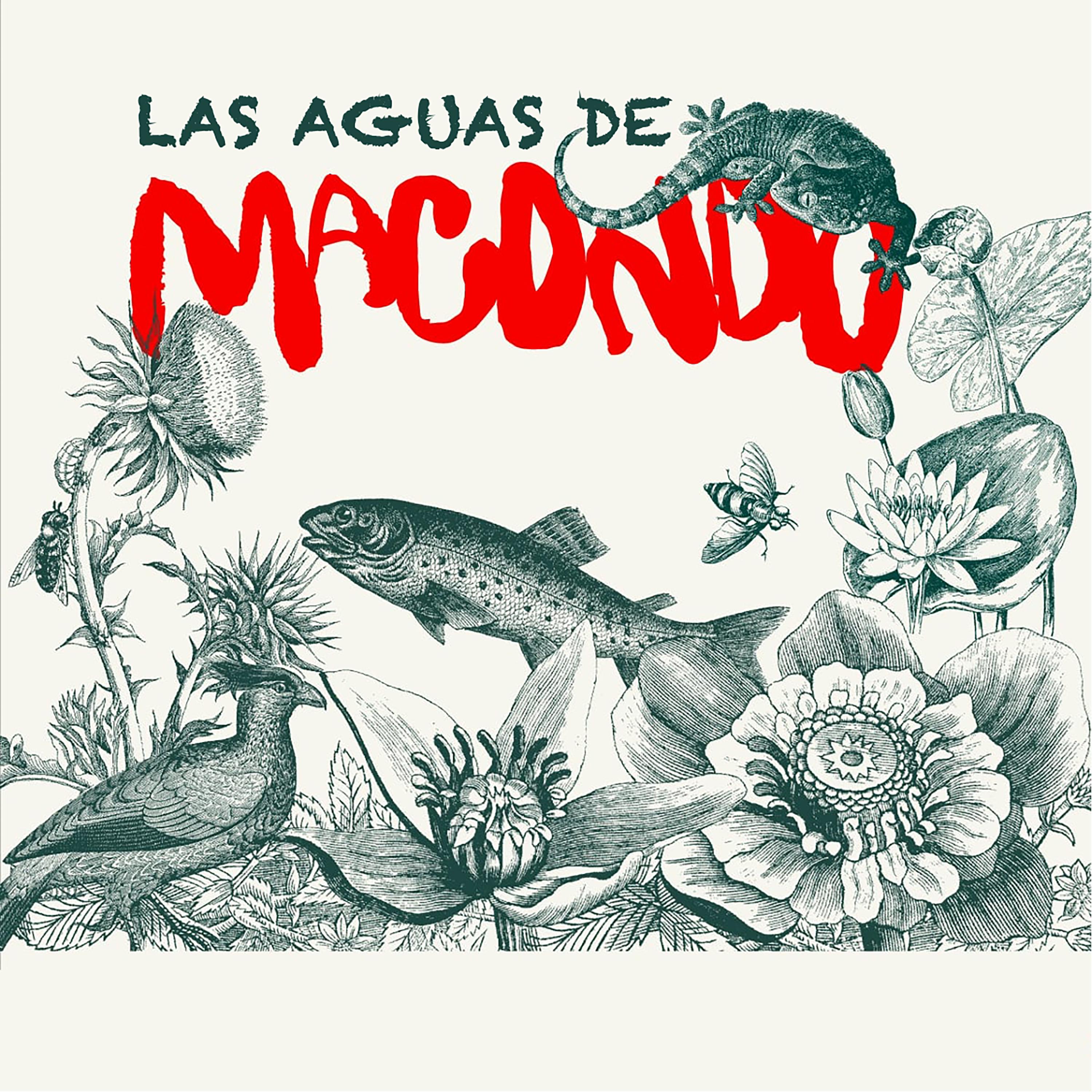 Постер альбома Las Aguas de Macondo