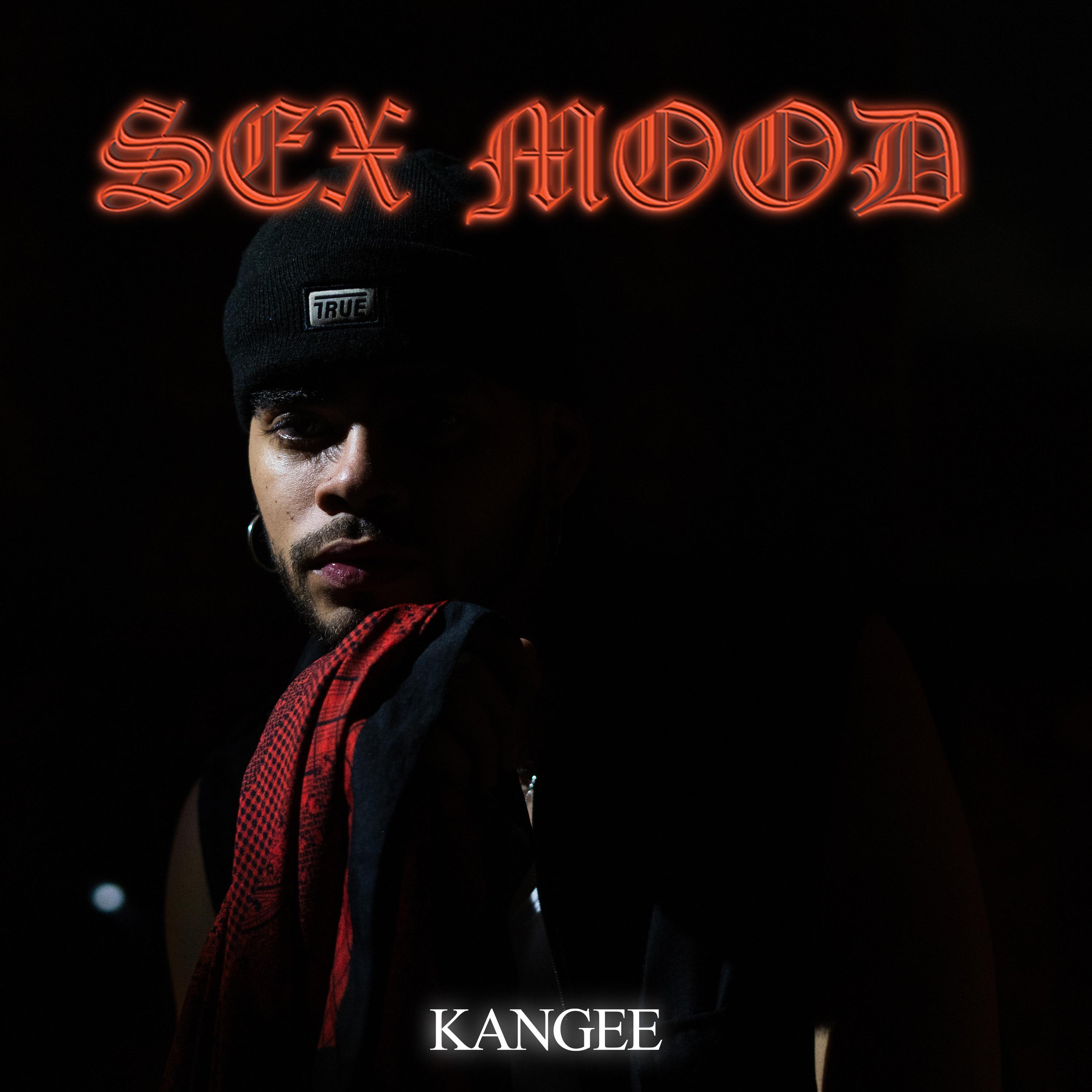 Постер альбома Sex Mood