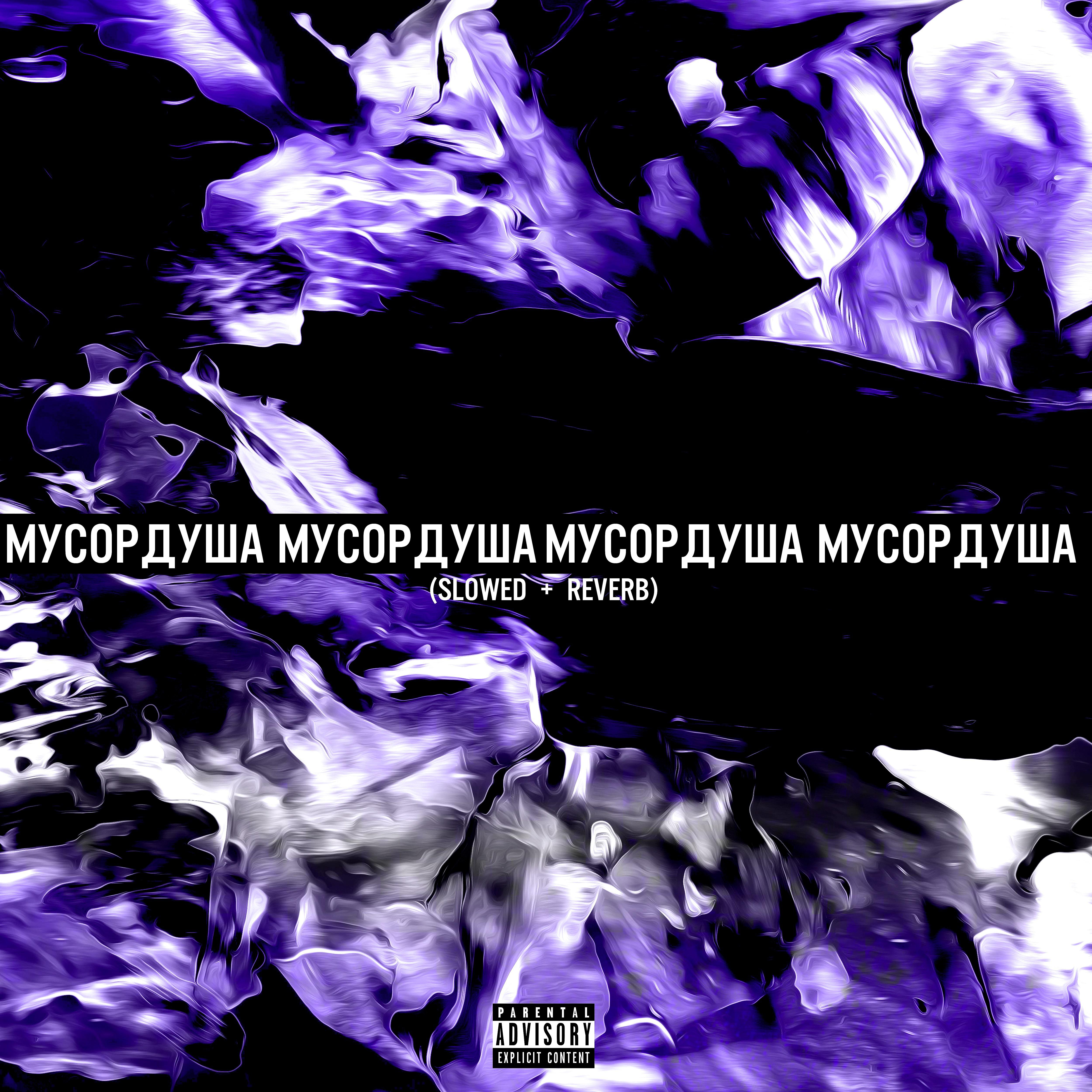 Постер альбома Мусордуша (Slowed + Reverb)