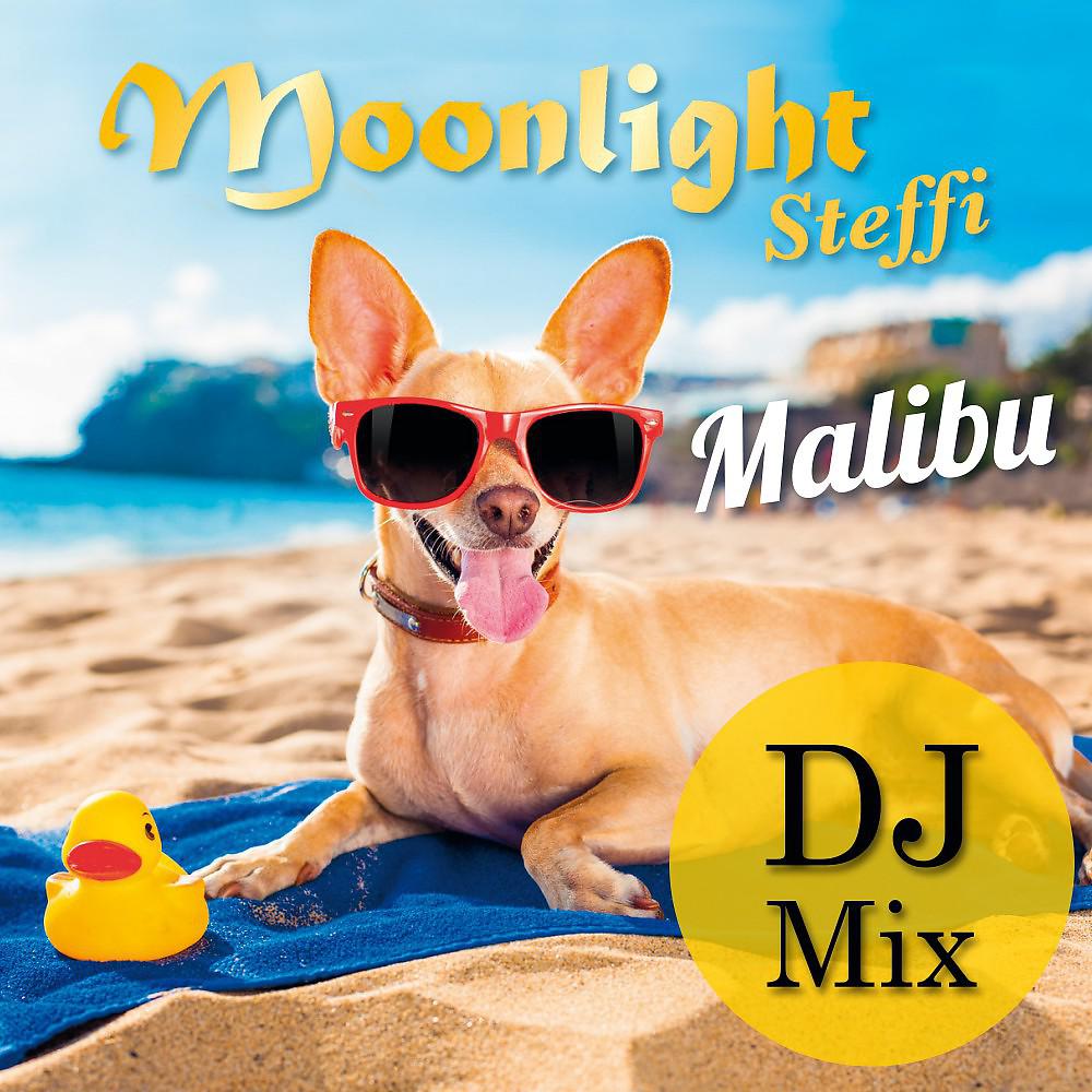 Постер альбома Malibu (DJ Mix)