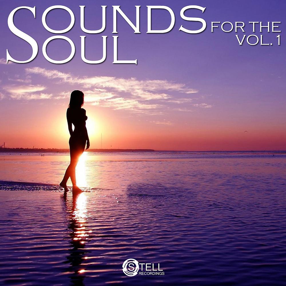 Постер альбома Sounds For The Soul Vol. 1