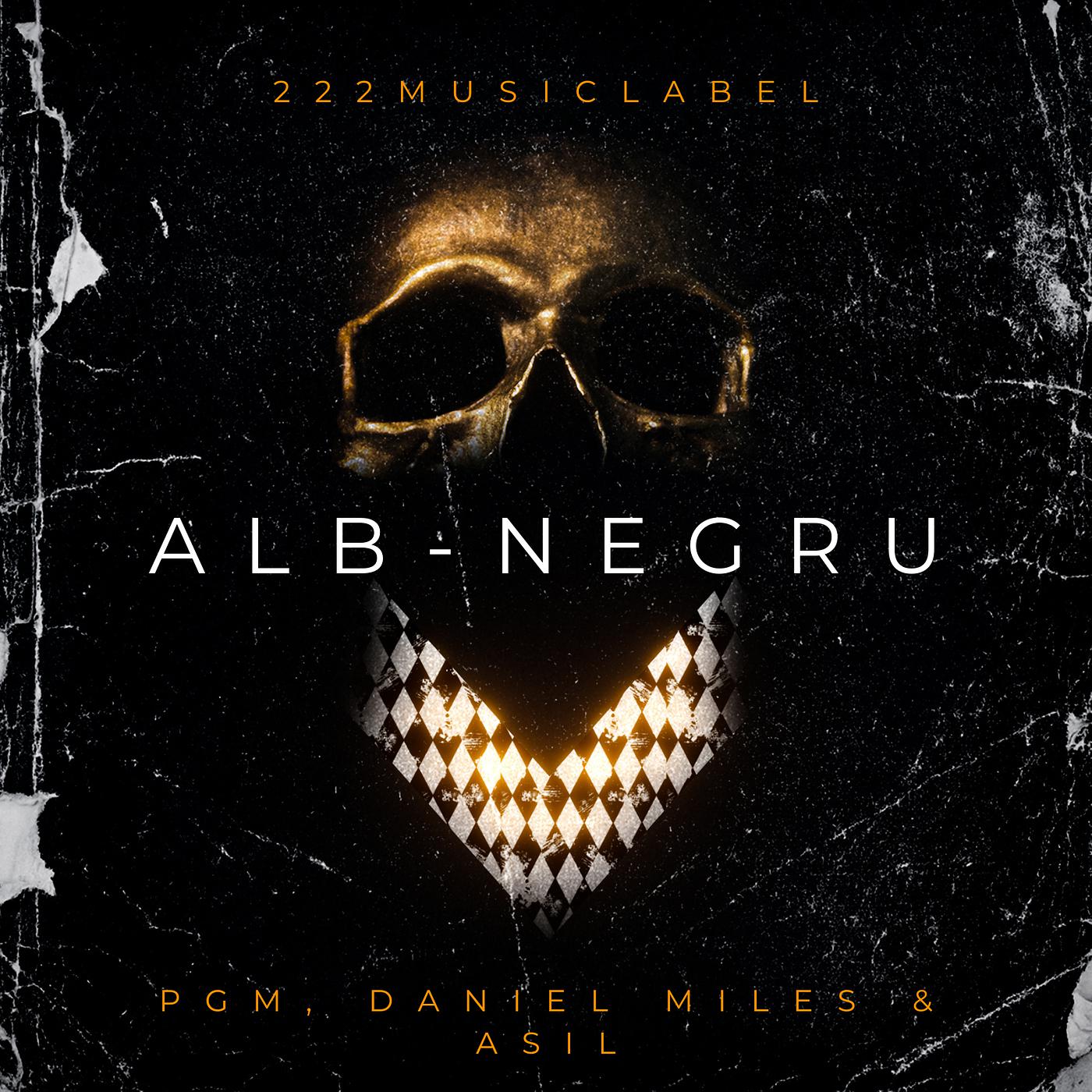 Постер альбома Alb Negru