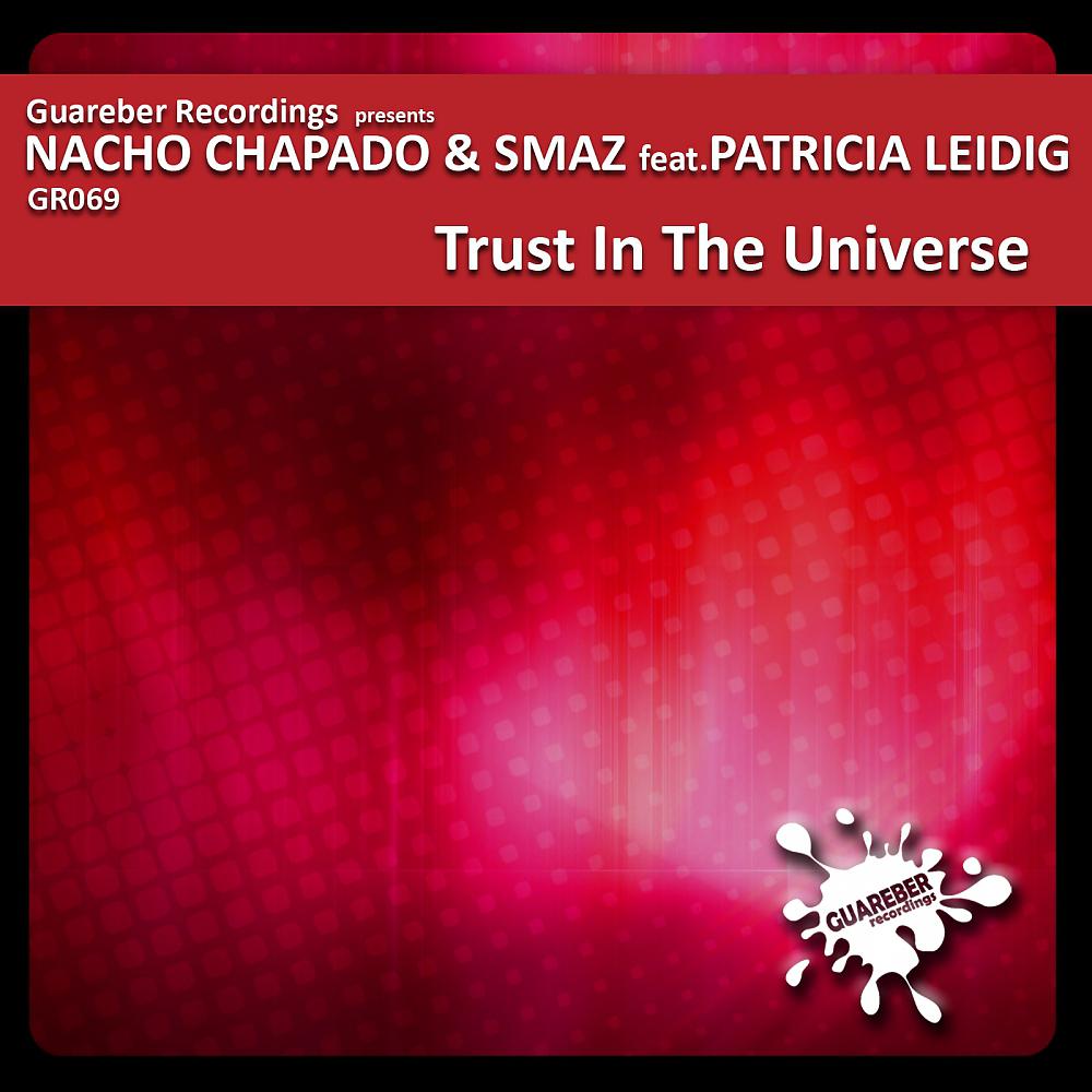 Постер альбома Trust In The Universe