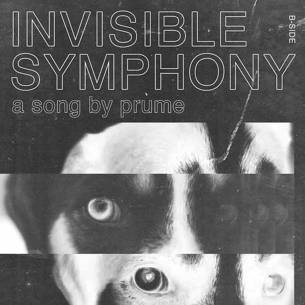 Постер альбома Invisible Symphony