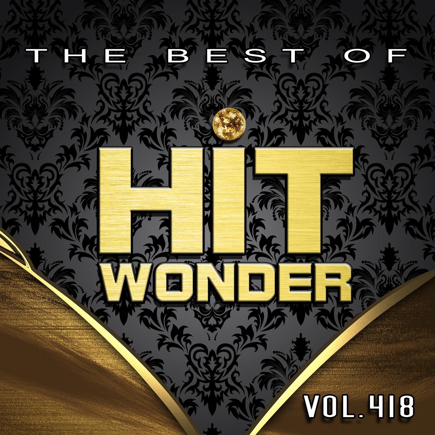 Постер альбома Hit Wonder: The Best Of, Vol. 418