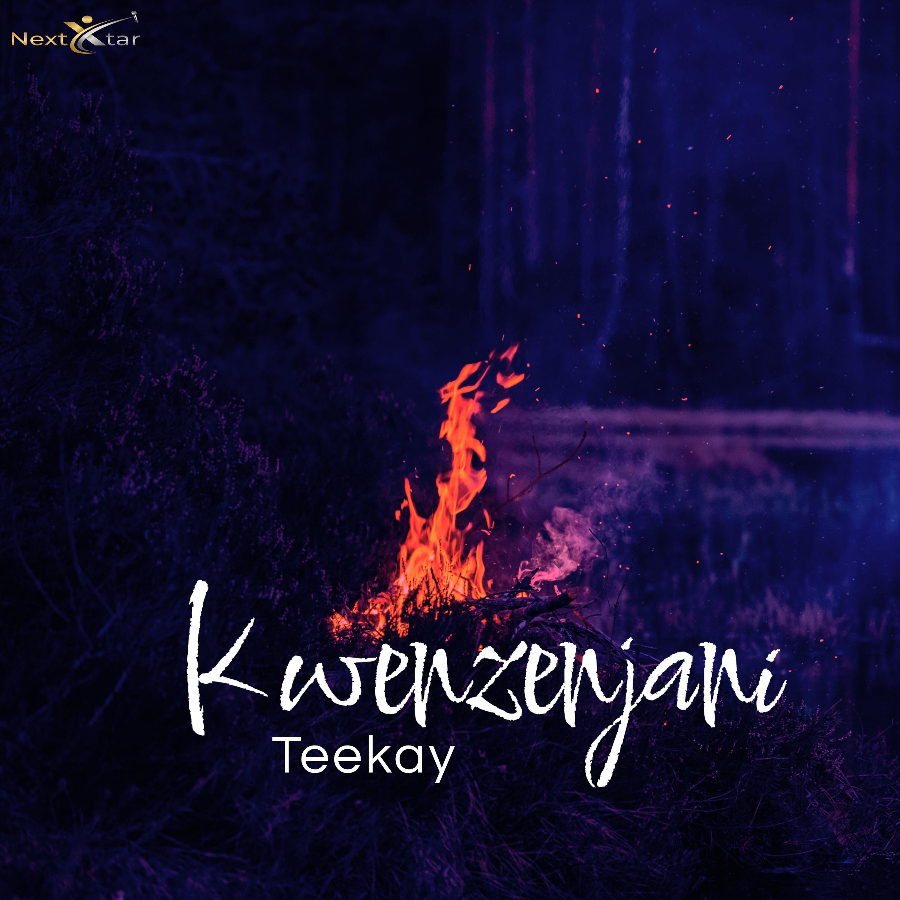 Постер альбома Kwenzenjani