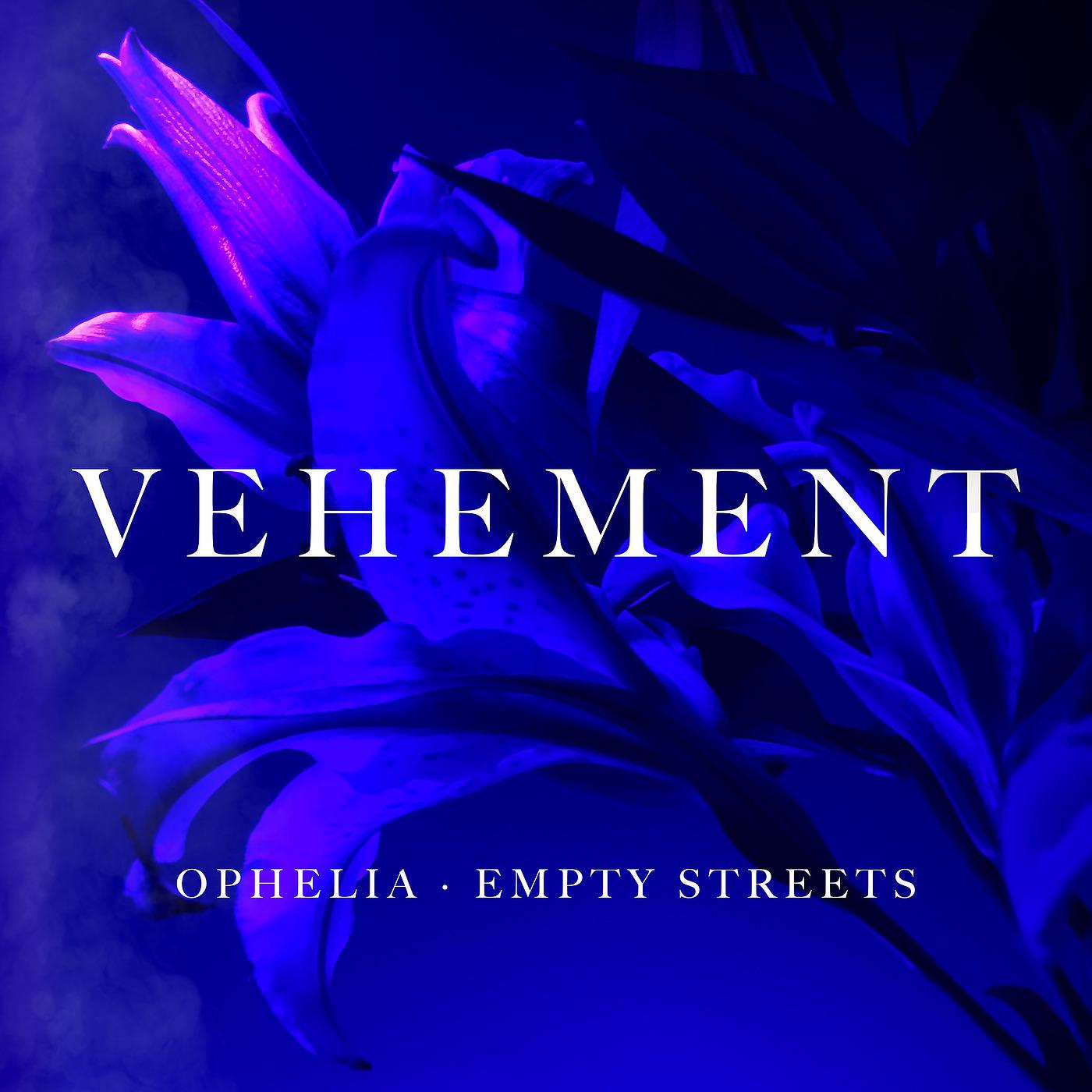 Постер альбома Vehement