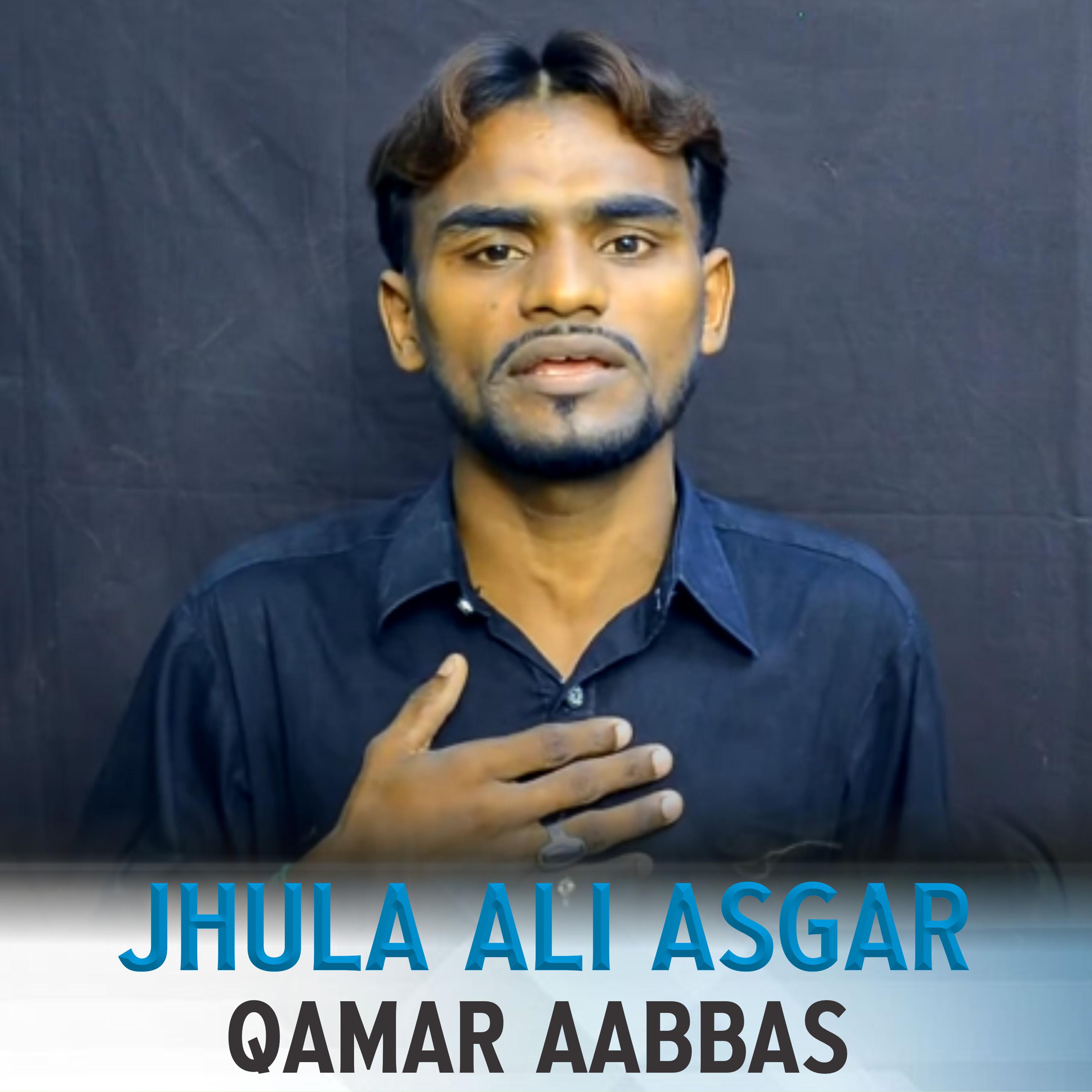 Постер альбома Jhula Ali asgar