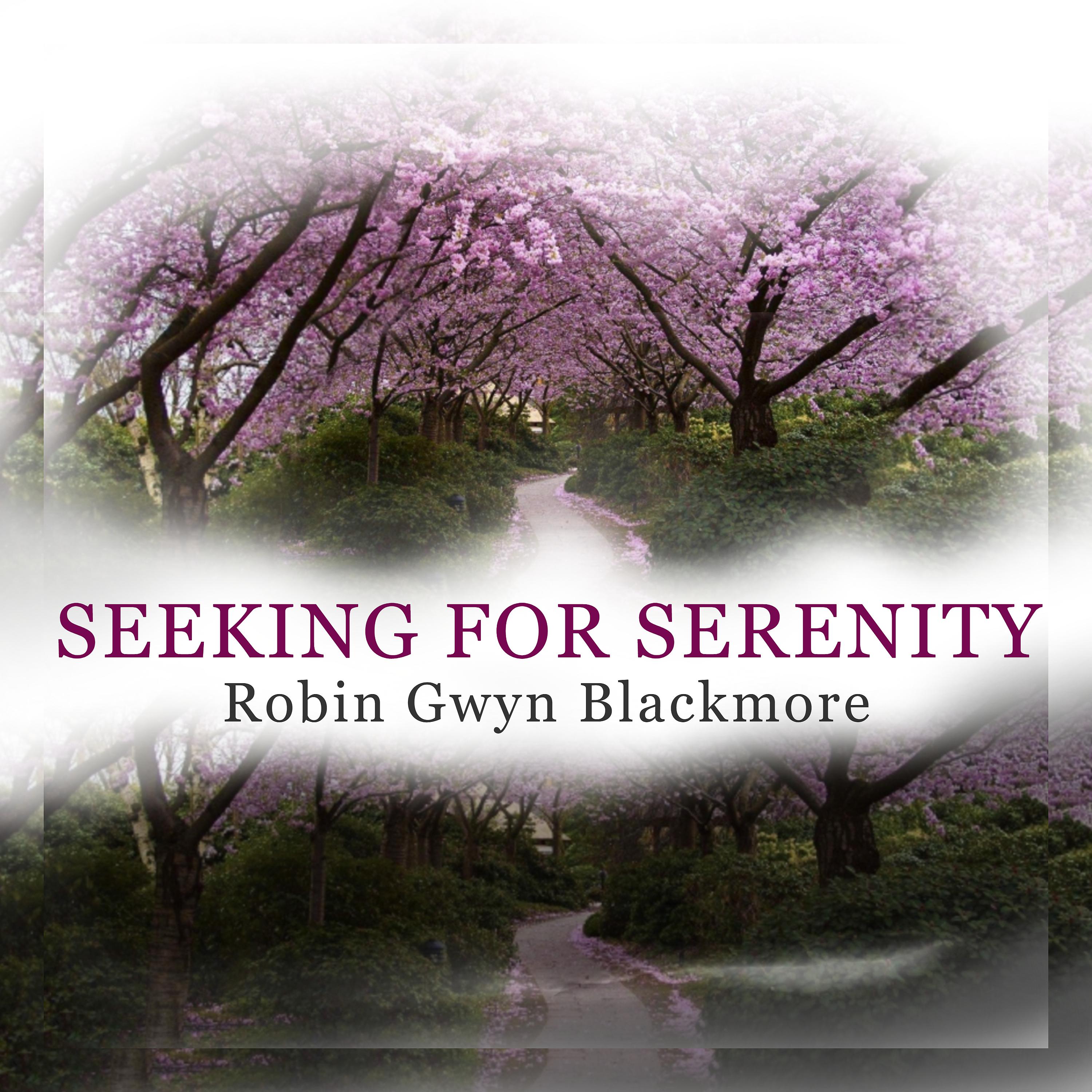 Постер альбома Seeking for Serenity