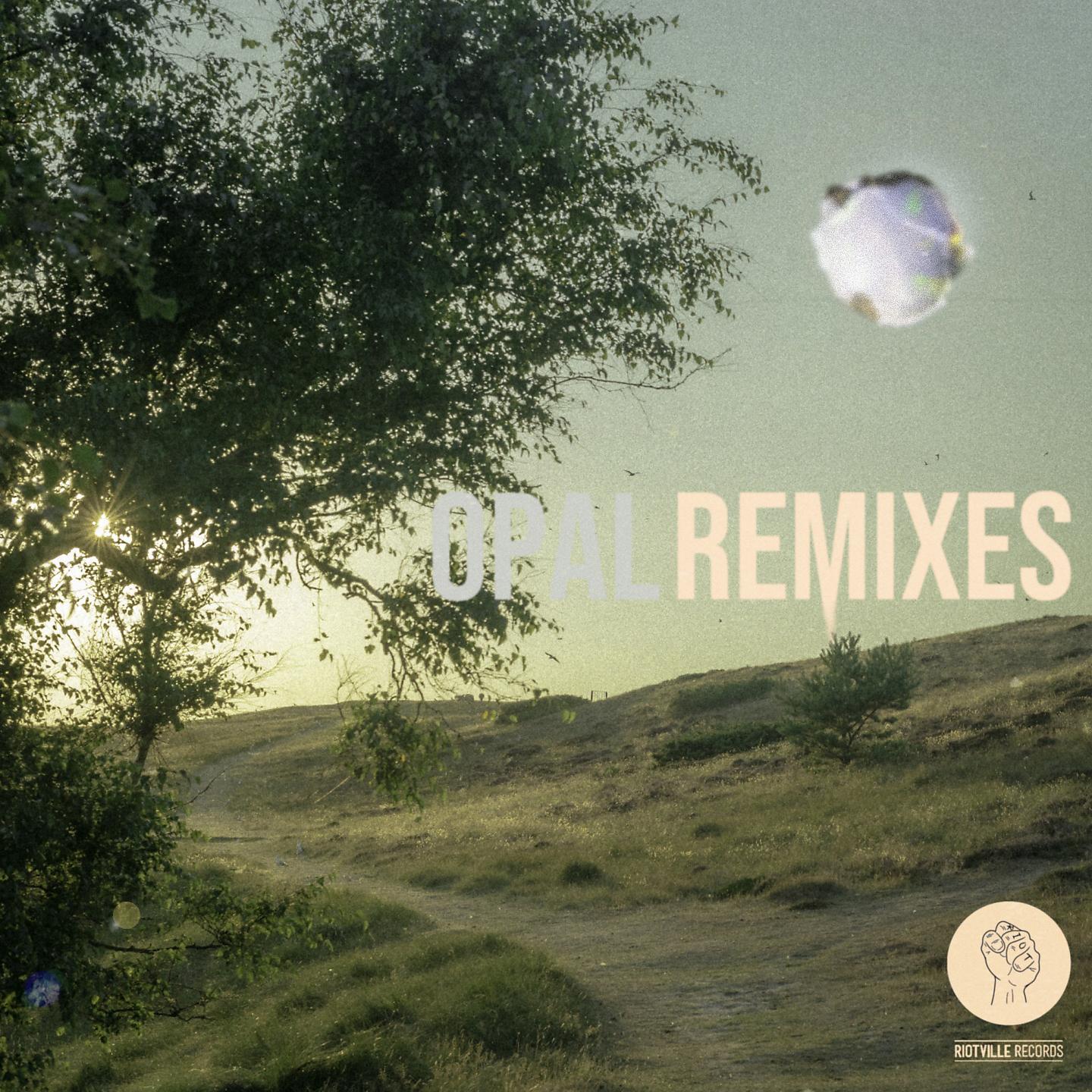 Постер альбома Opal (Remixes)