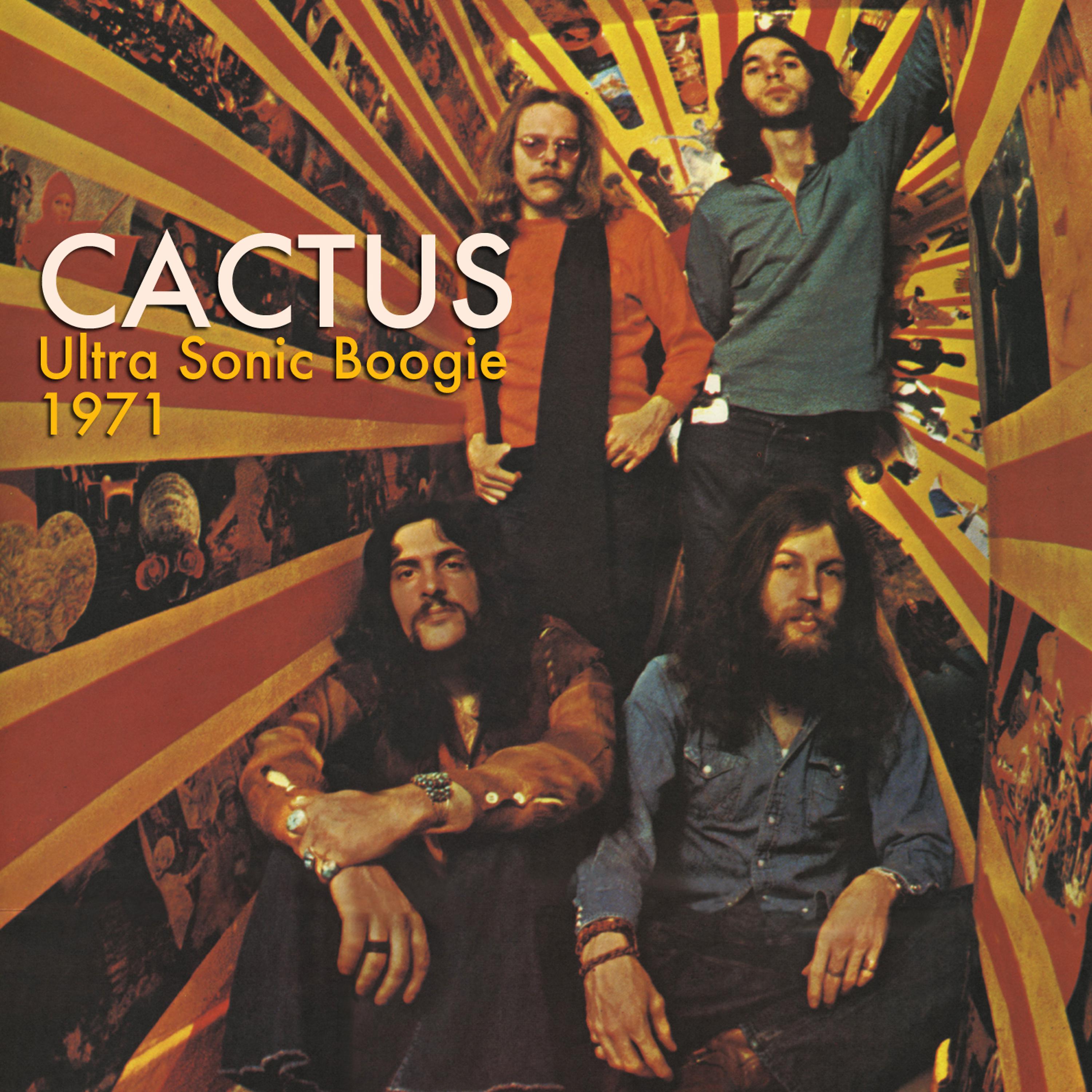 Постер альбома Ultra Sonic Boogie 1971