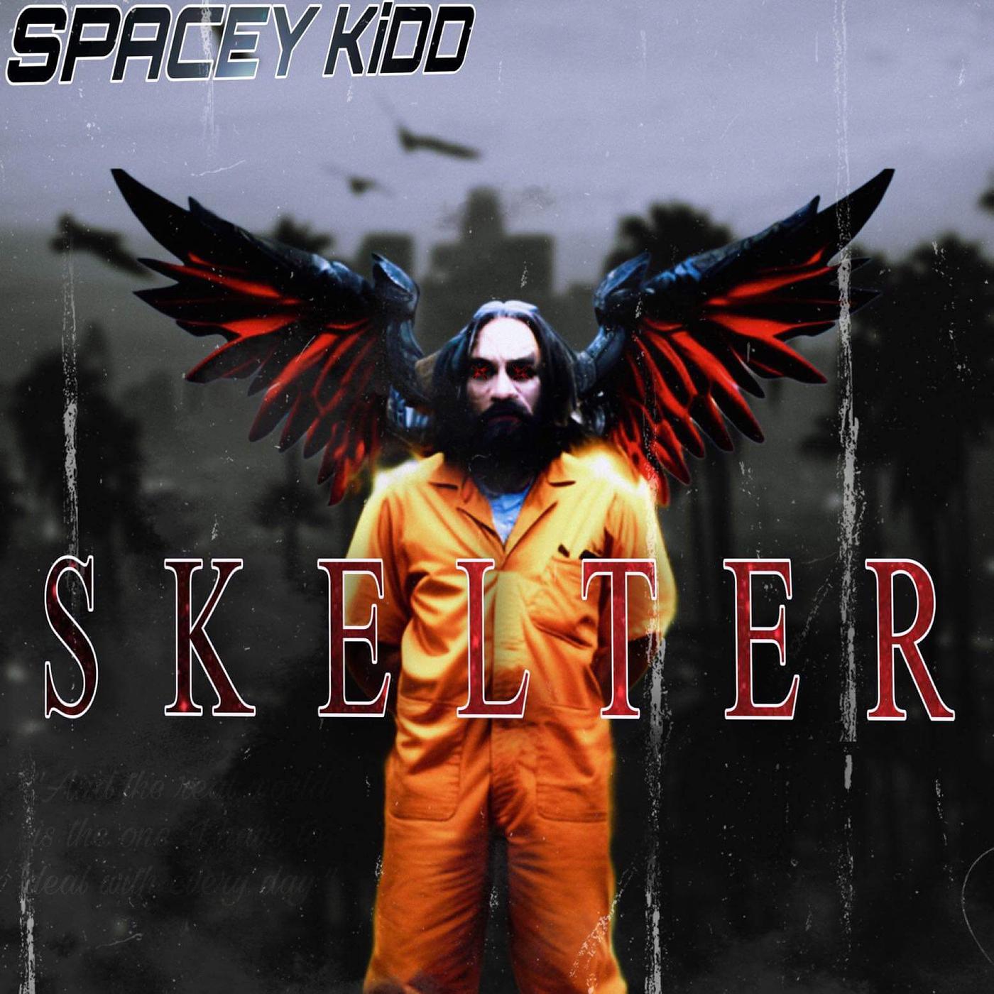 Постер альбома Skelter