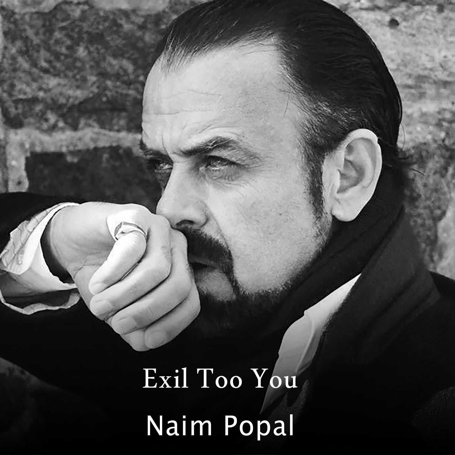 Постер альбома Exil Too You