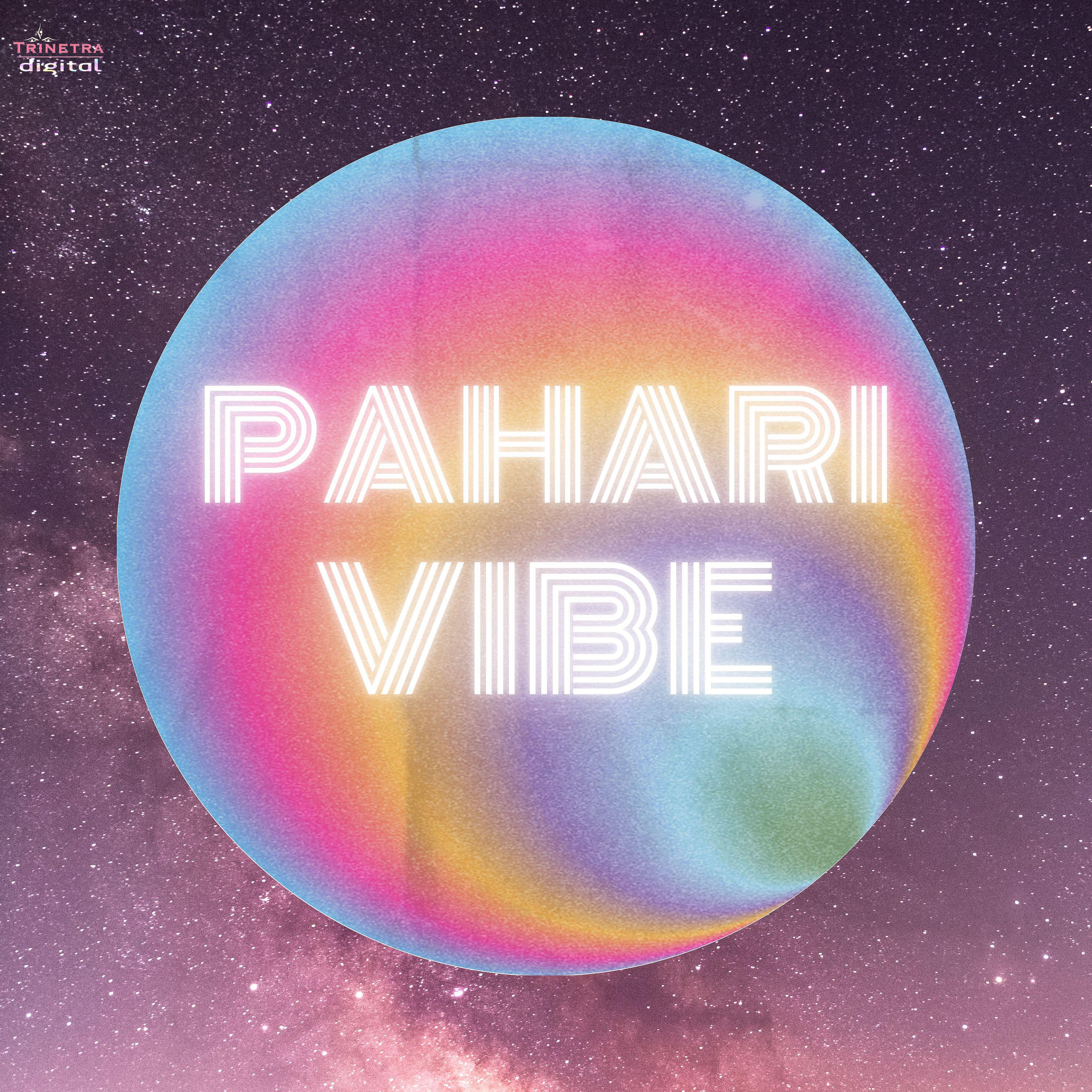 Постер альбома Pahari Vibe
