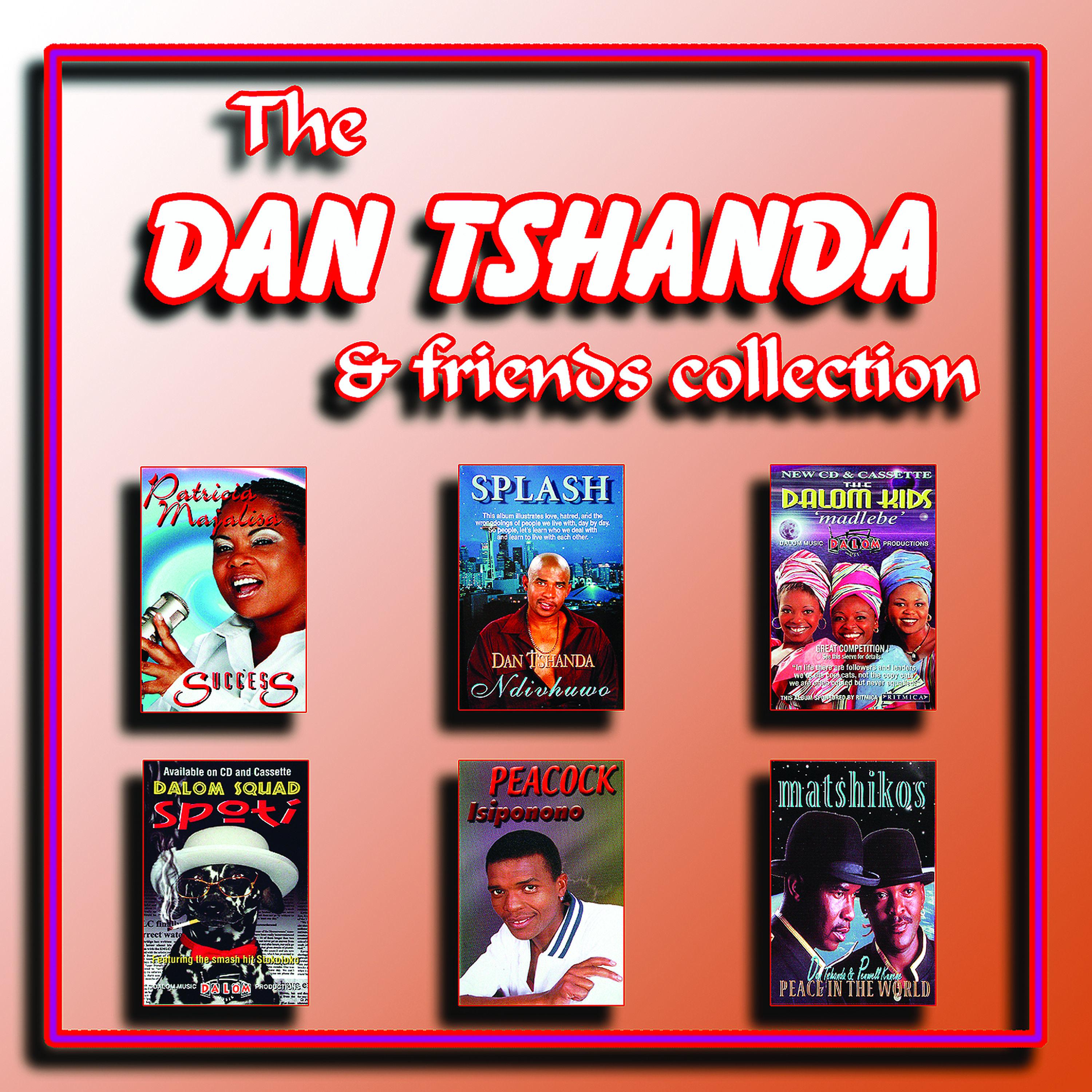 Постер альбома The Dan Tshanda & Friends Collection