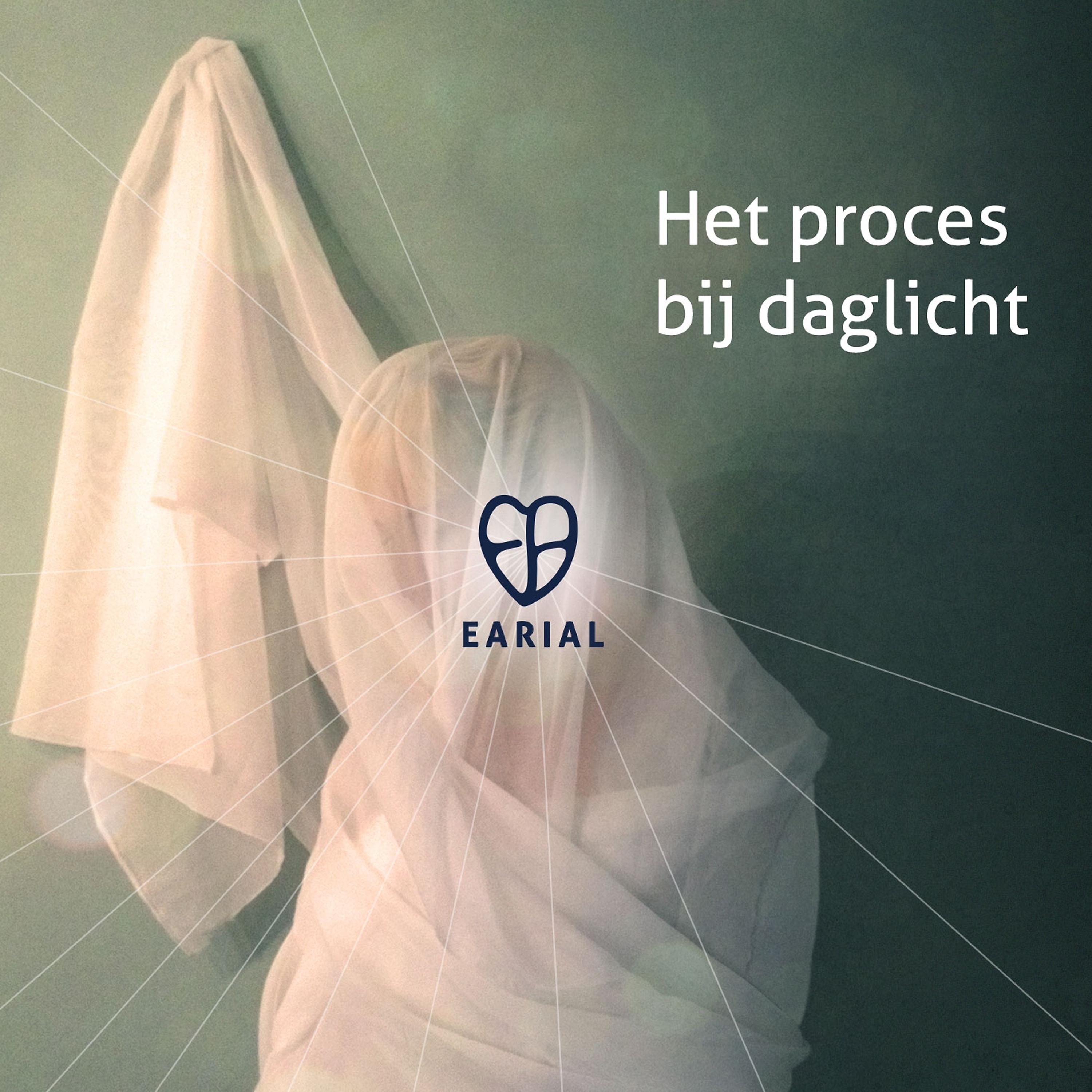 Постер альбома Het Proces Bij Daglicht