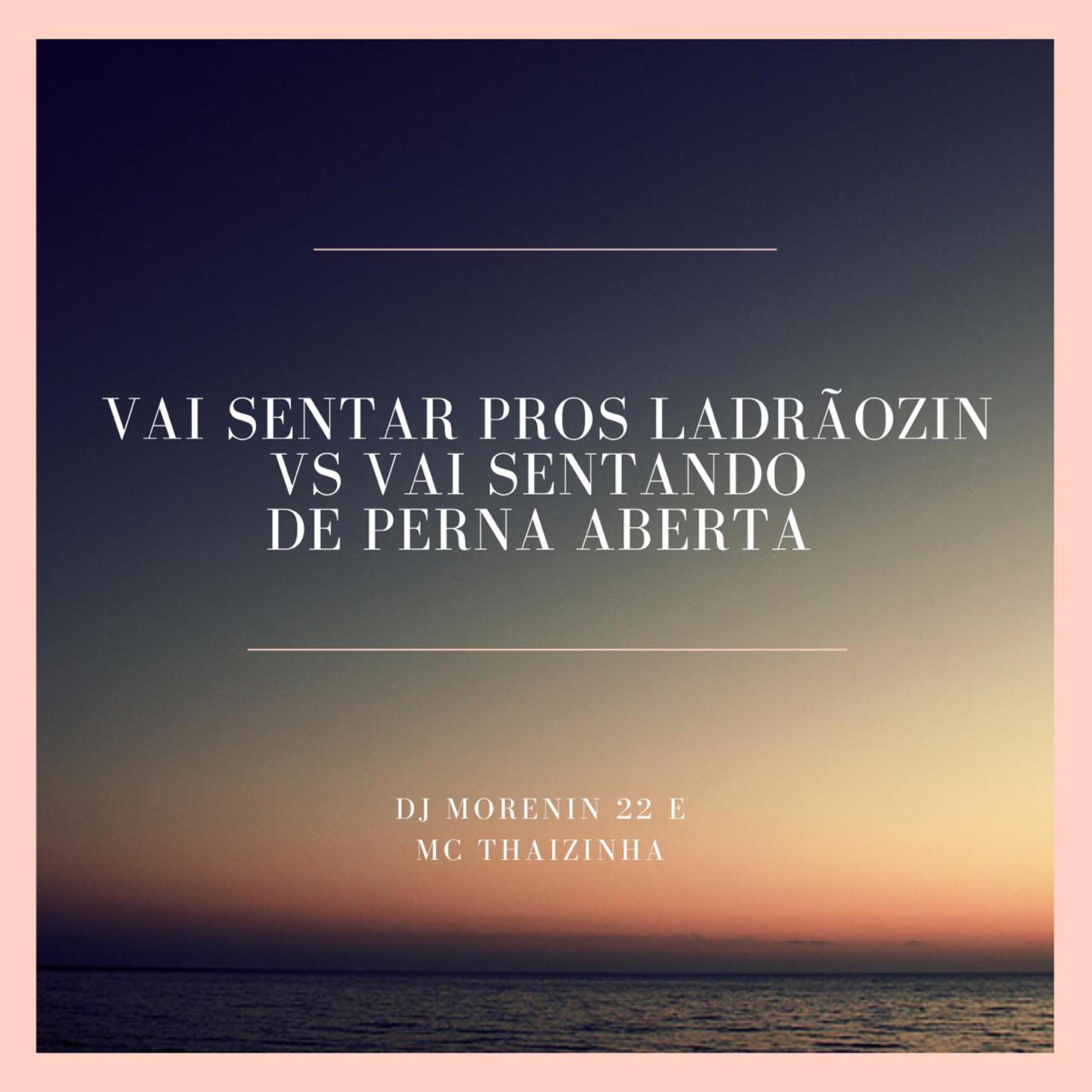 Постер альбома Vai Sentar Pros Ladrãozin Vs Vai Sentando de Perna Aberta