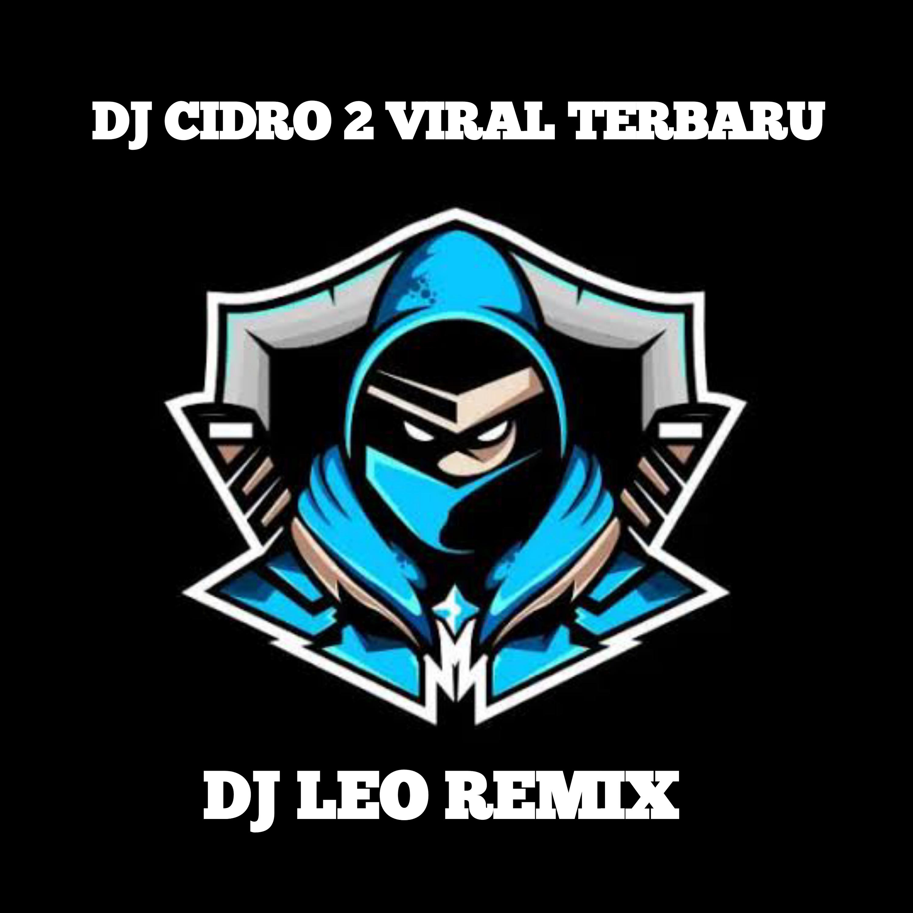 Постер альбома DJ CIDRO 2 VIRAL TERBARU
