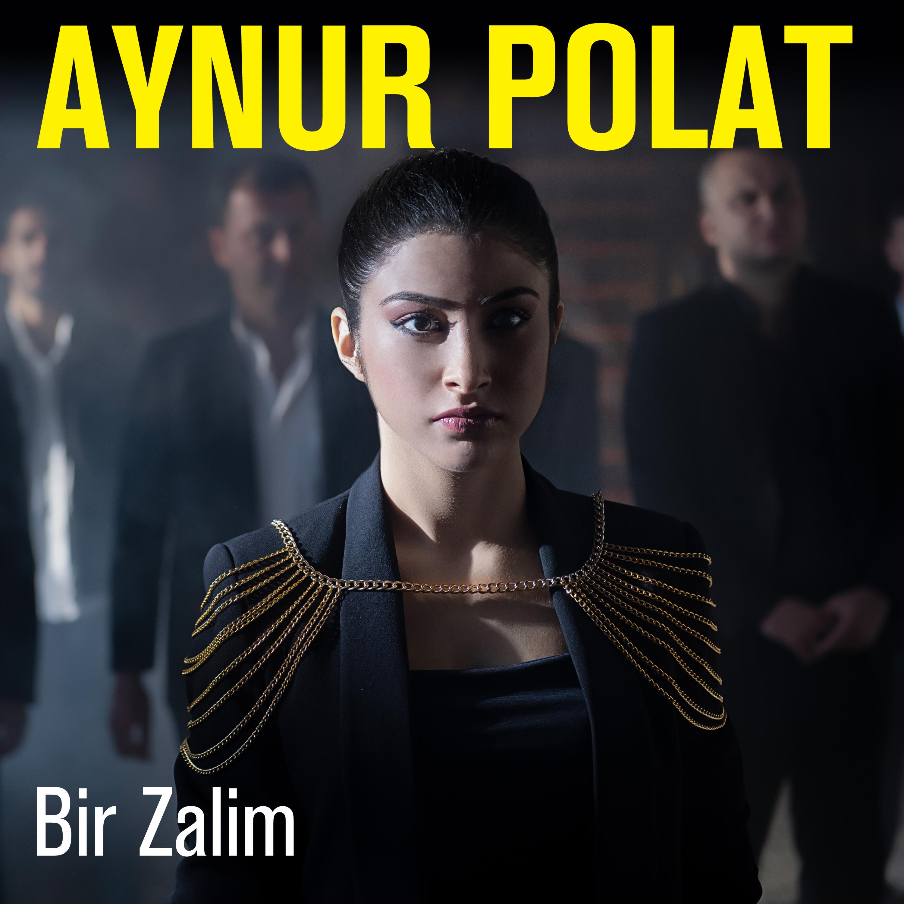 Постер альбома Bir Zalim