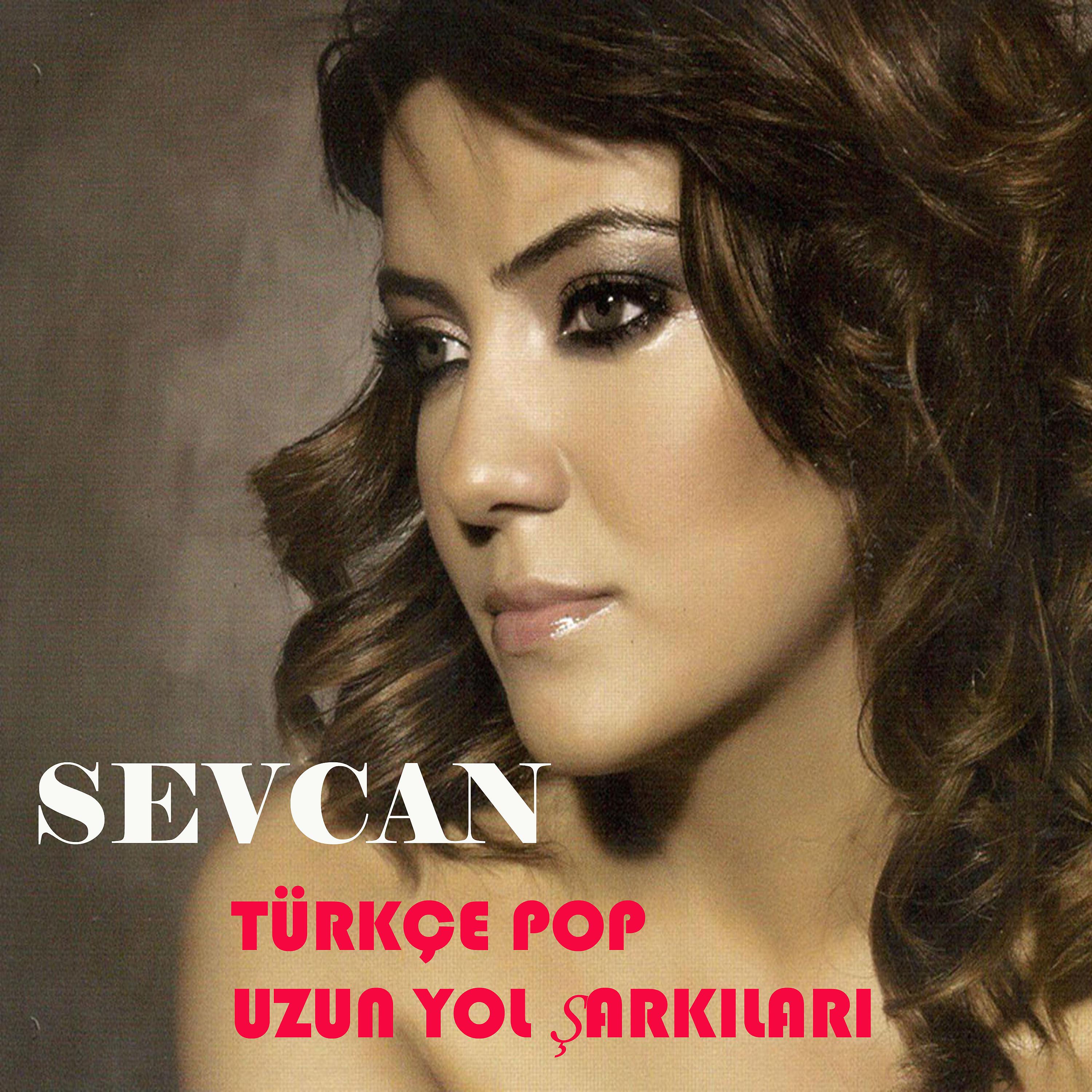 Постер альбома Türkçe Pop Uzun Yol Şarkıları