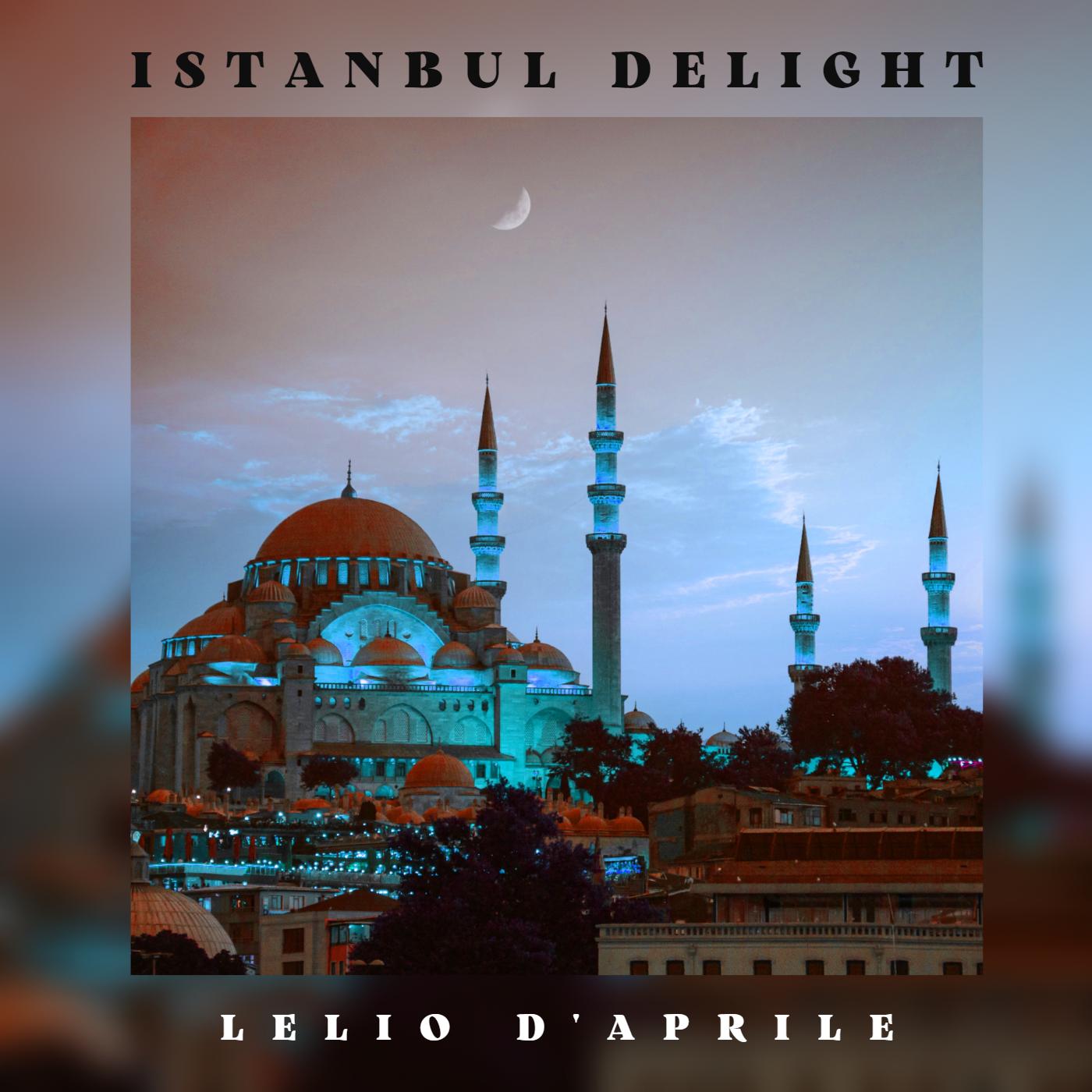 Постер альбома Istanbul Delight