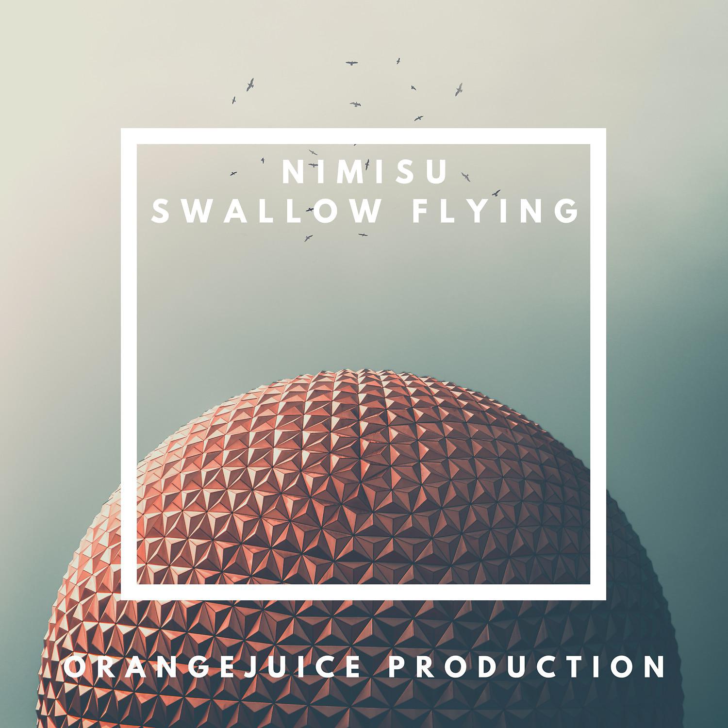 Постер альбома Swallow Flying