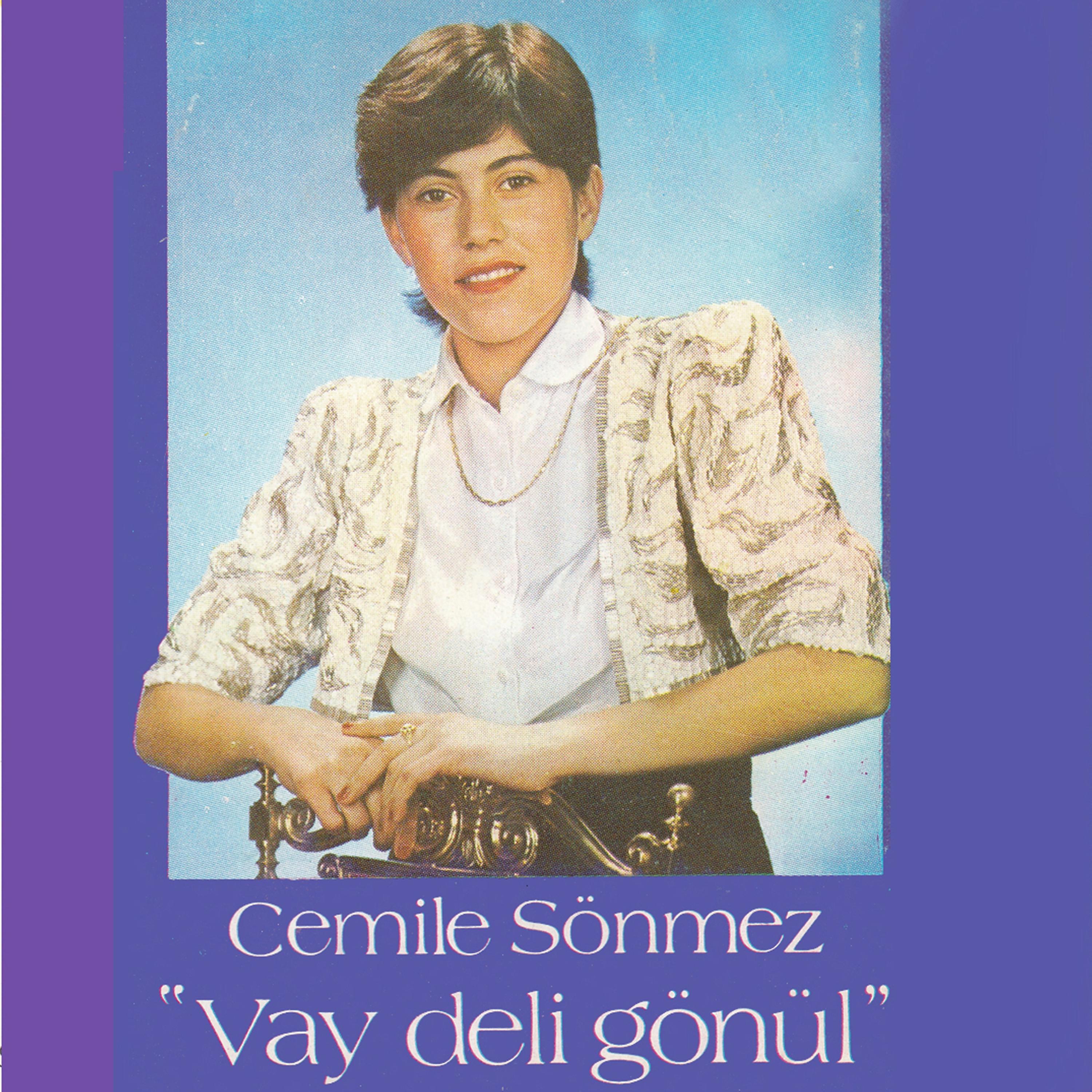 Постер альбома Vay Deli Gönül