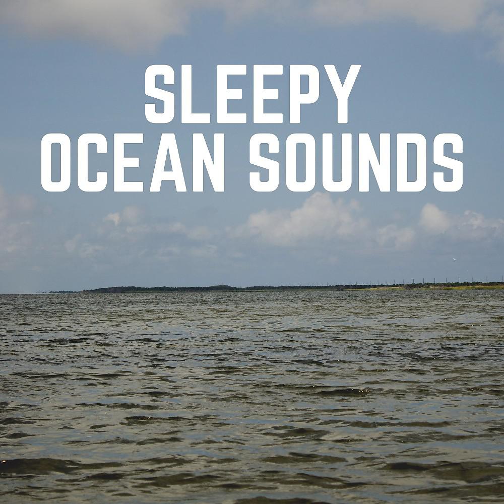 Постер альбома Sleepy Ocean Sounds