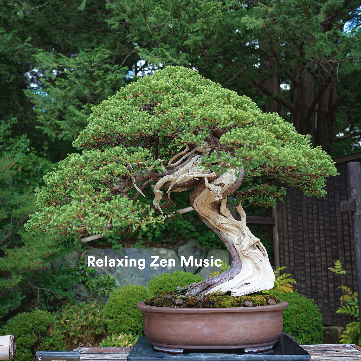 Постер альбома Relaxing Zen Music