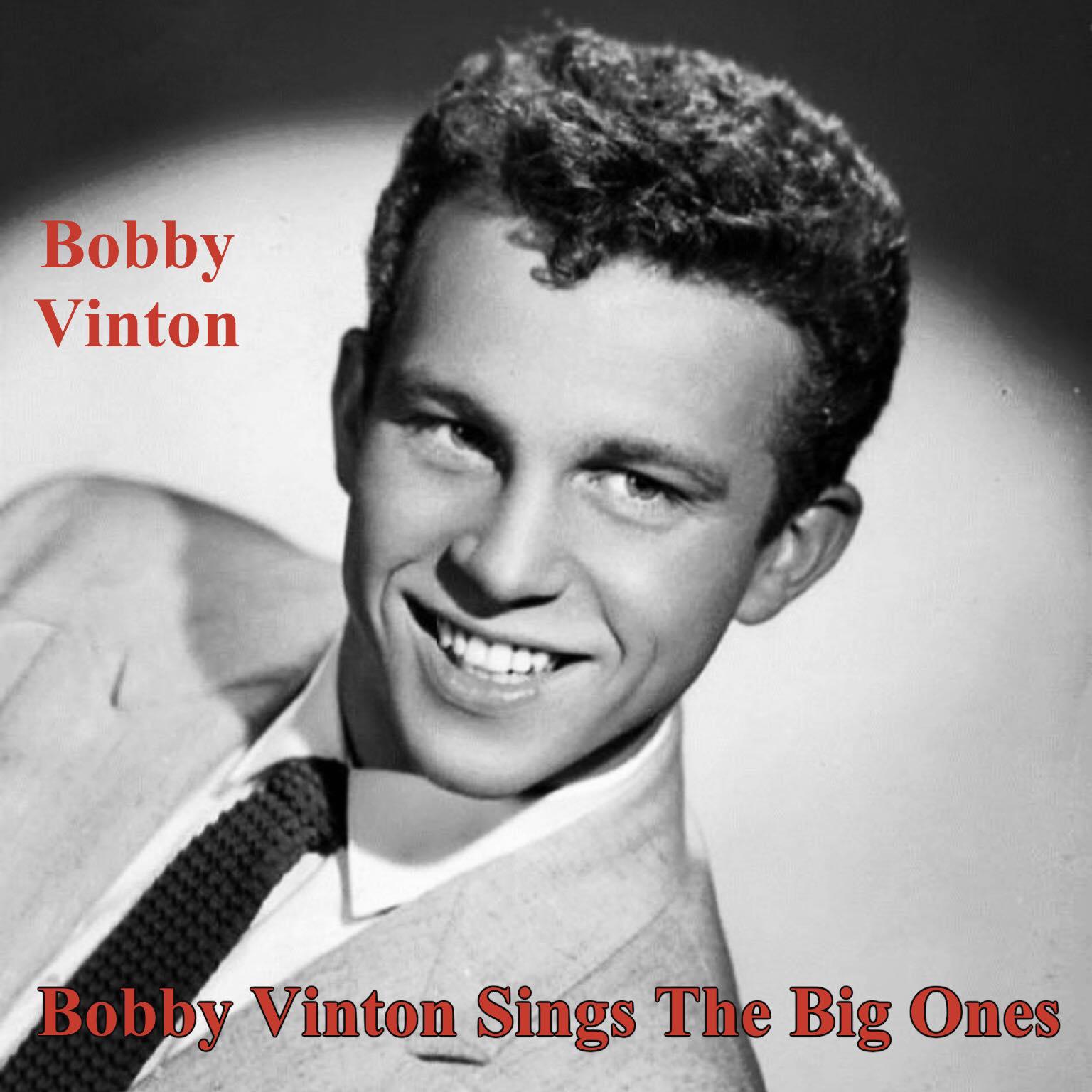 Постер альбома Bobby Vinton Sings The Big Ones