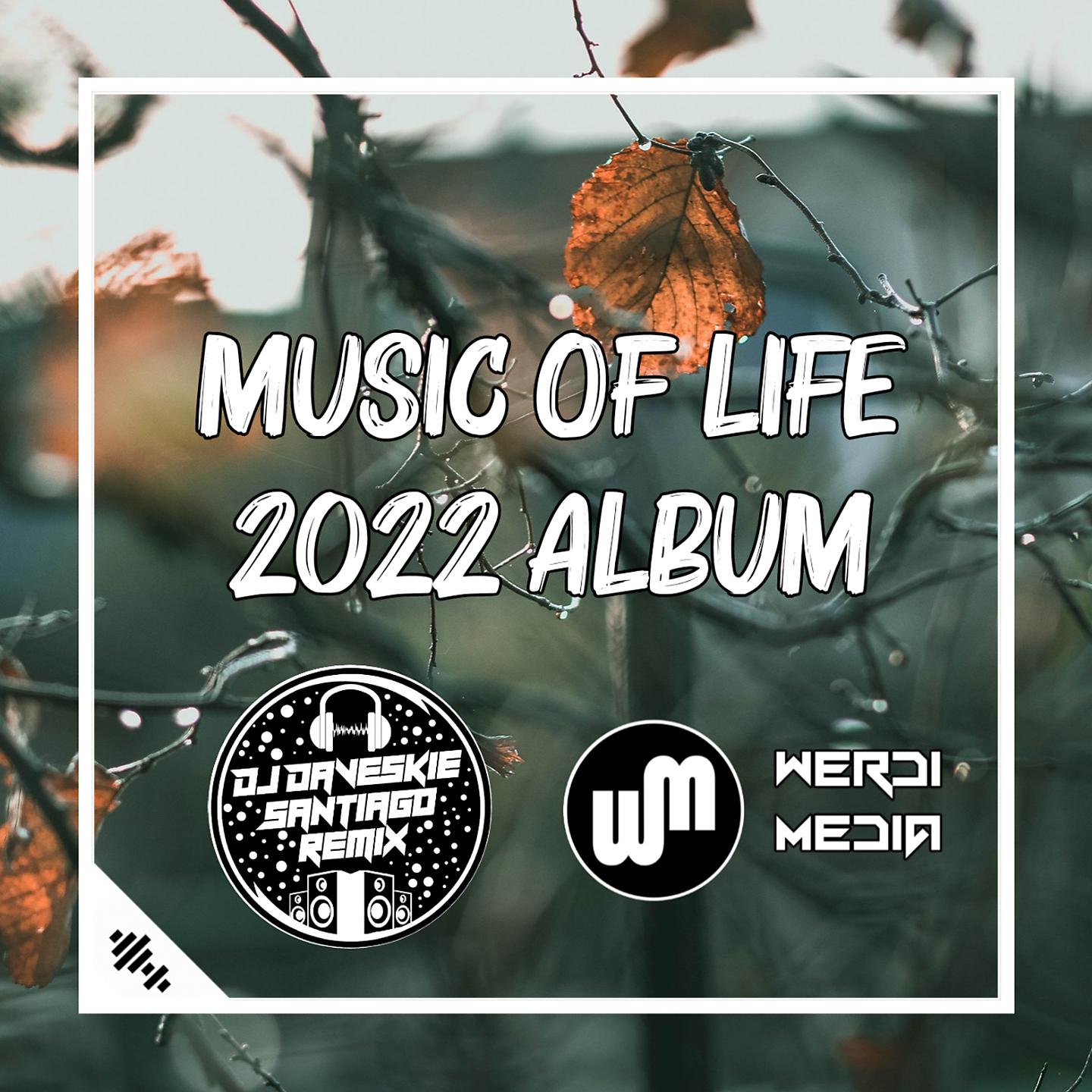 Постер альбома Music Of Life 2022