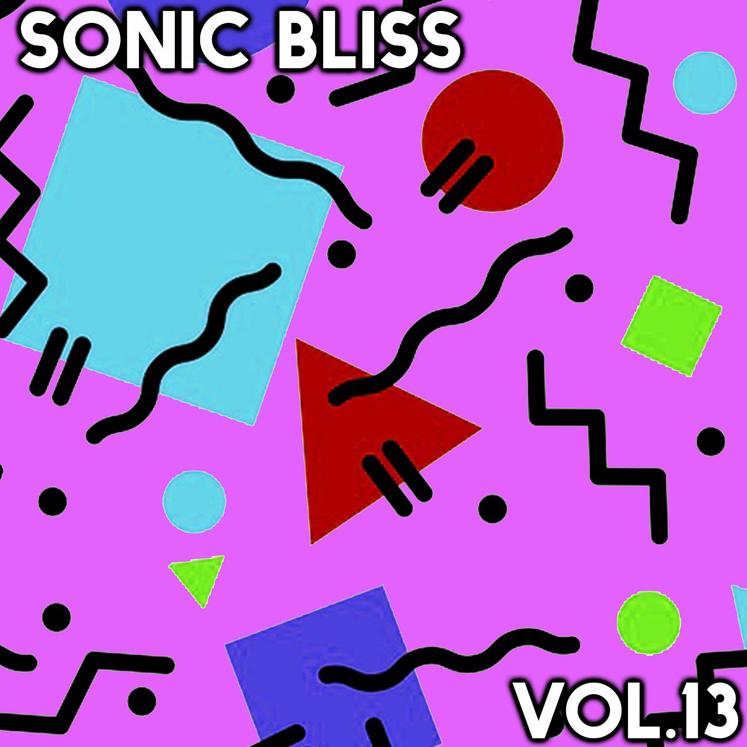 Постер альбома Sonic Bliss, Vol. 13