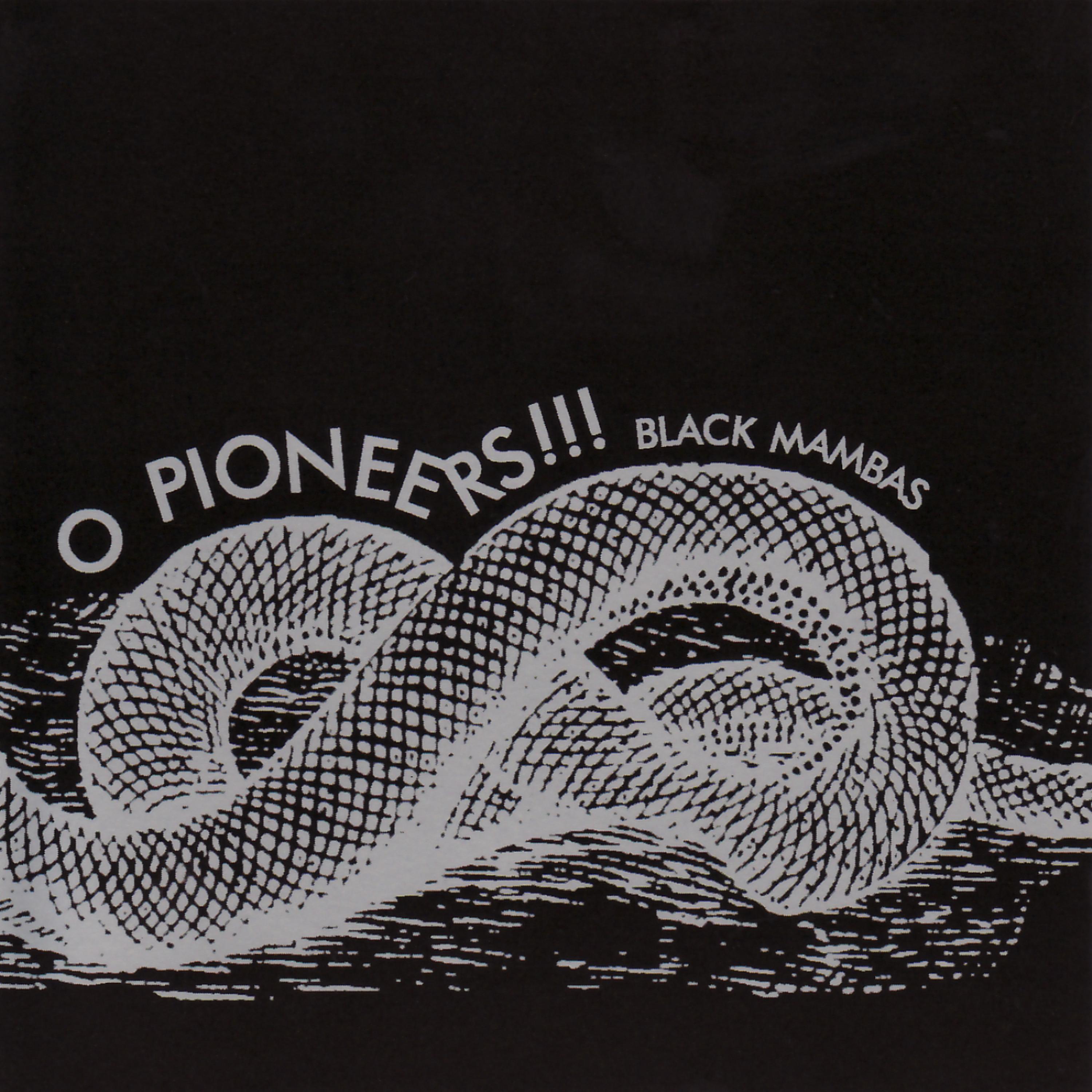 Постер альбома Black Mambas