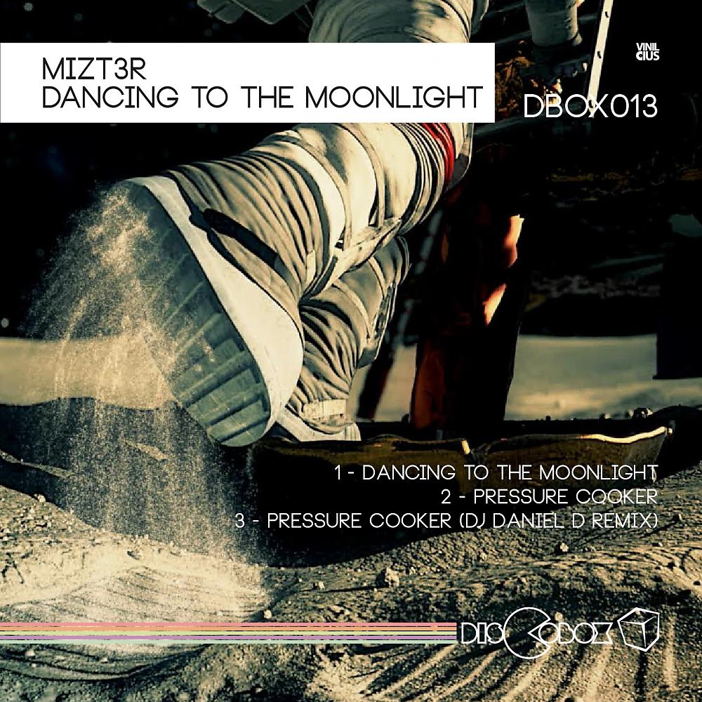 Постер альбома Dancing To The Moonlight