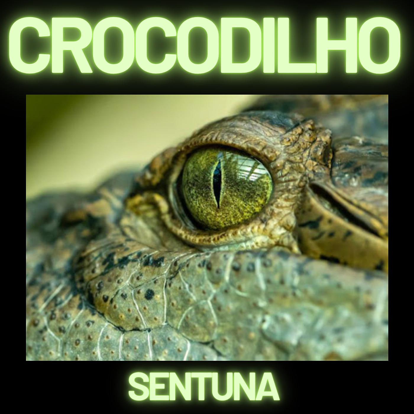 Постер альбома Crocodilho