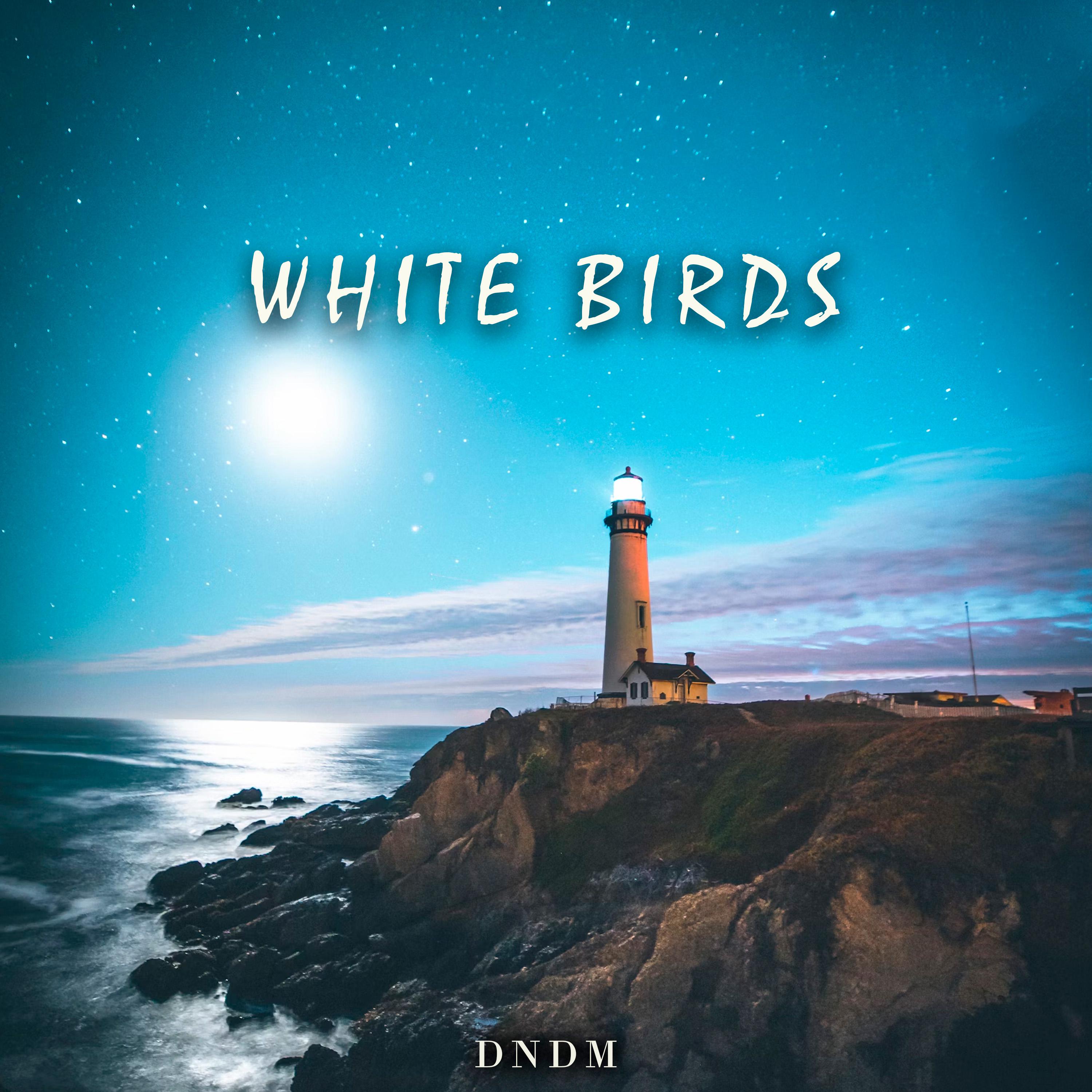 Постер альбома White Birds