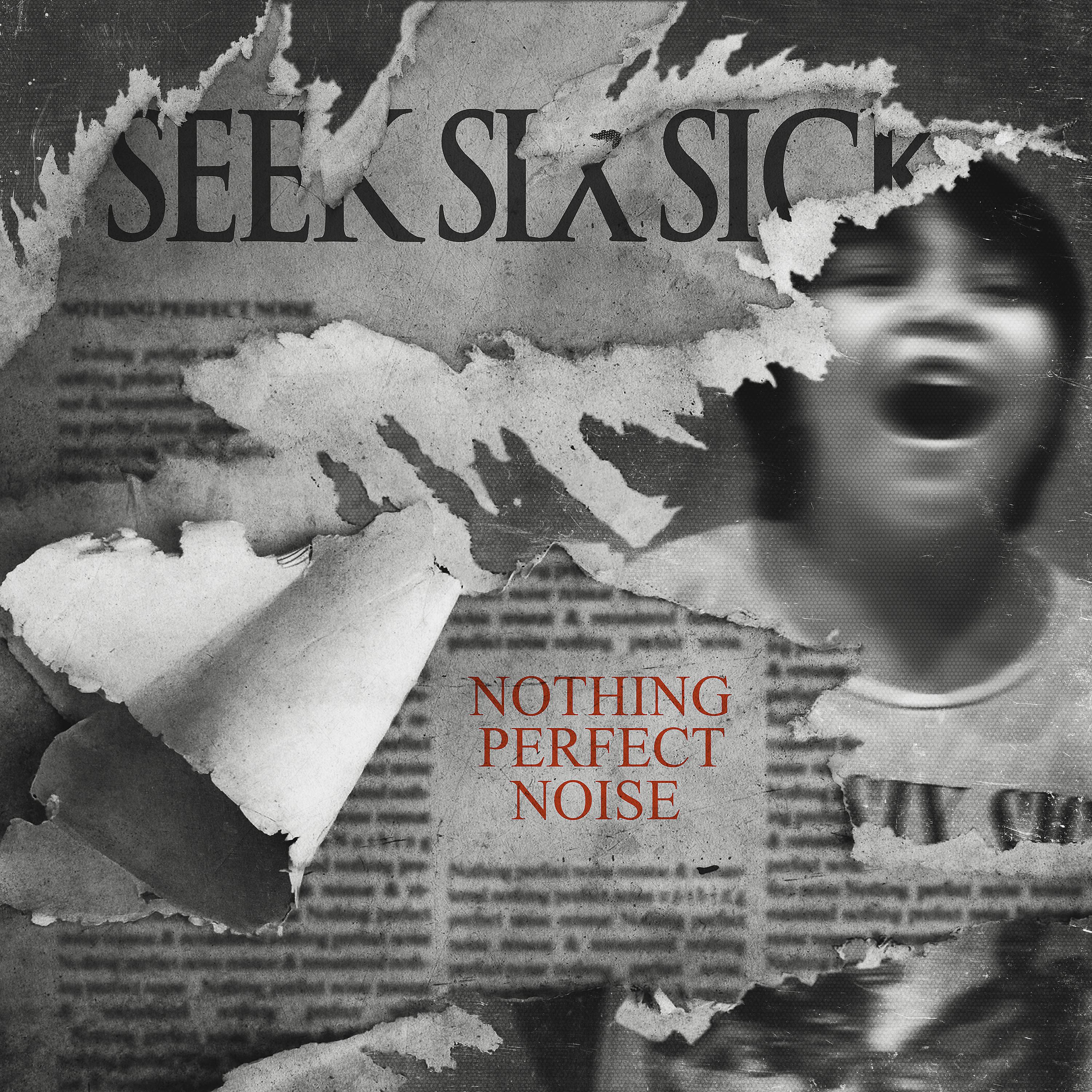 Постер альбома Nothing Perfect Noise