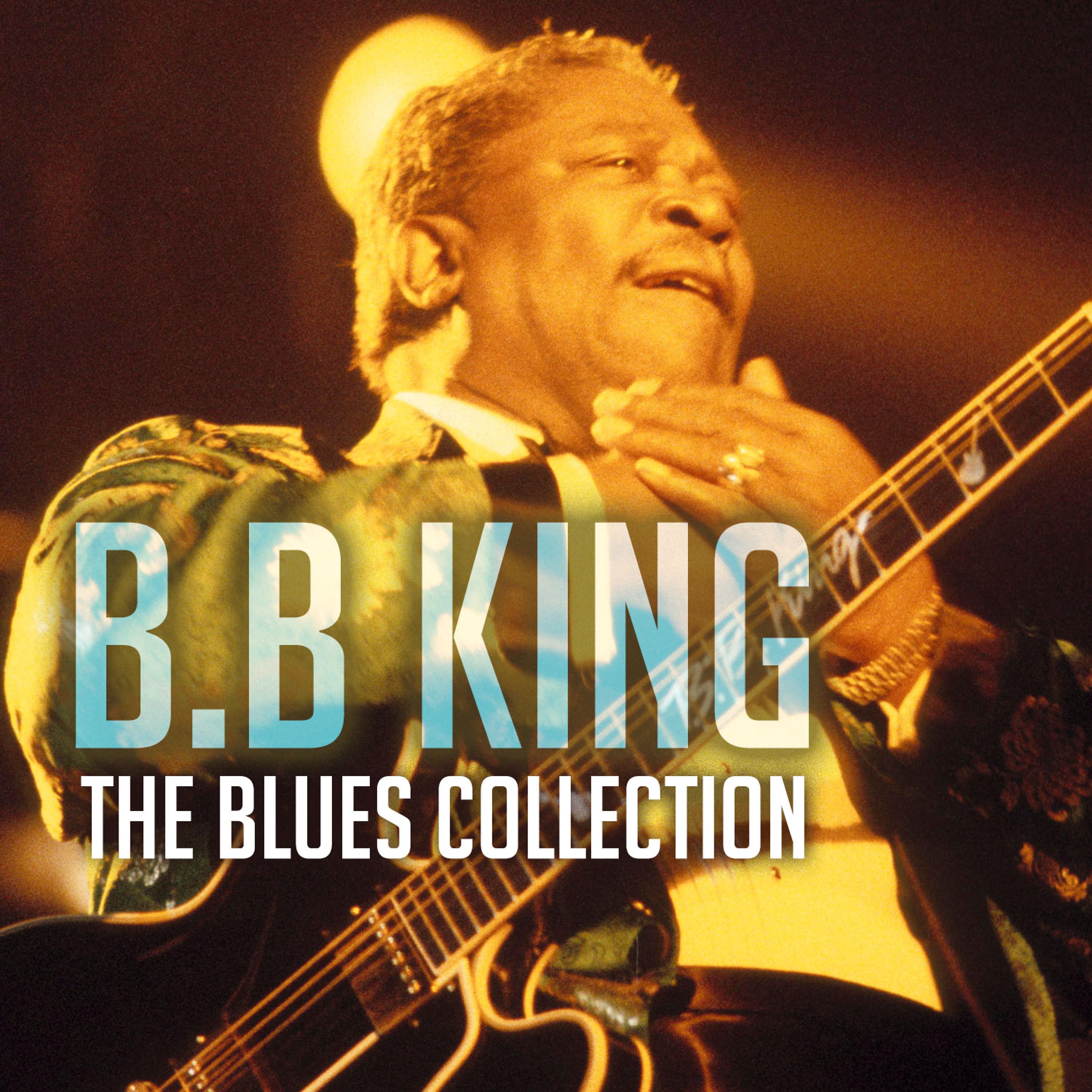 Постер альбома The Blues Collection: B.B King