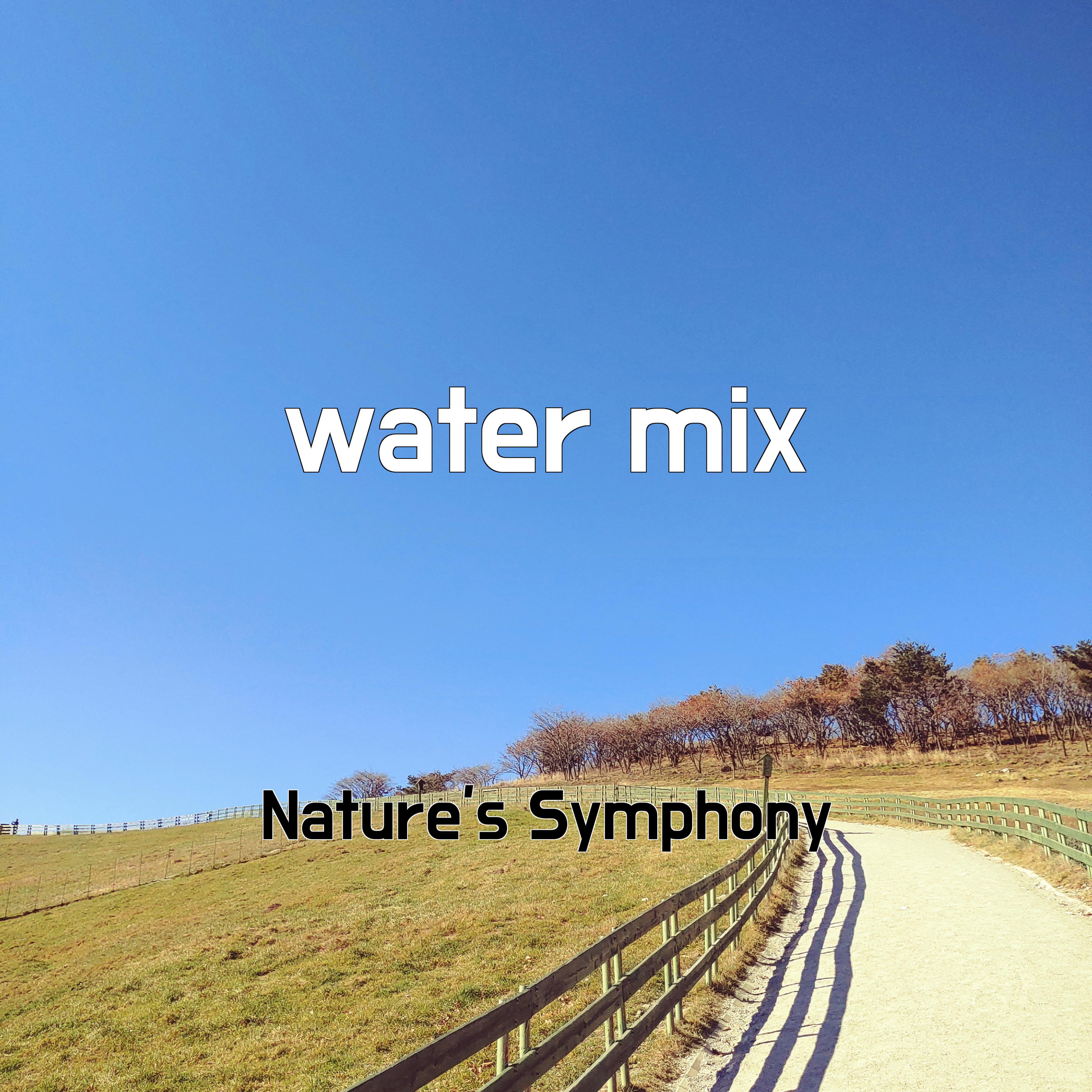 Постер альбома water mix