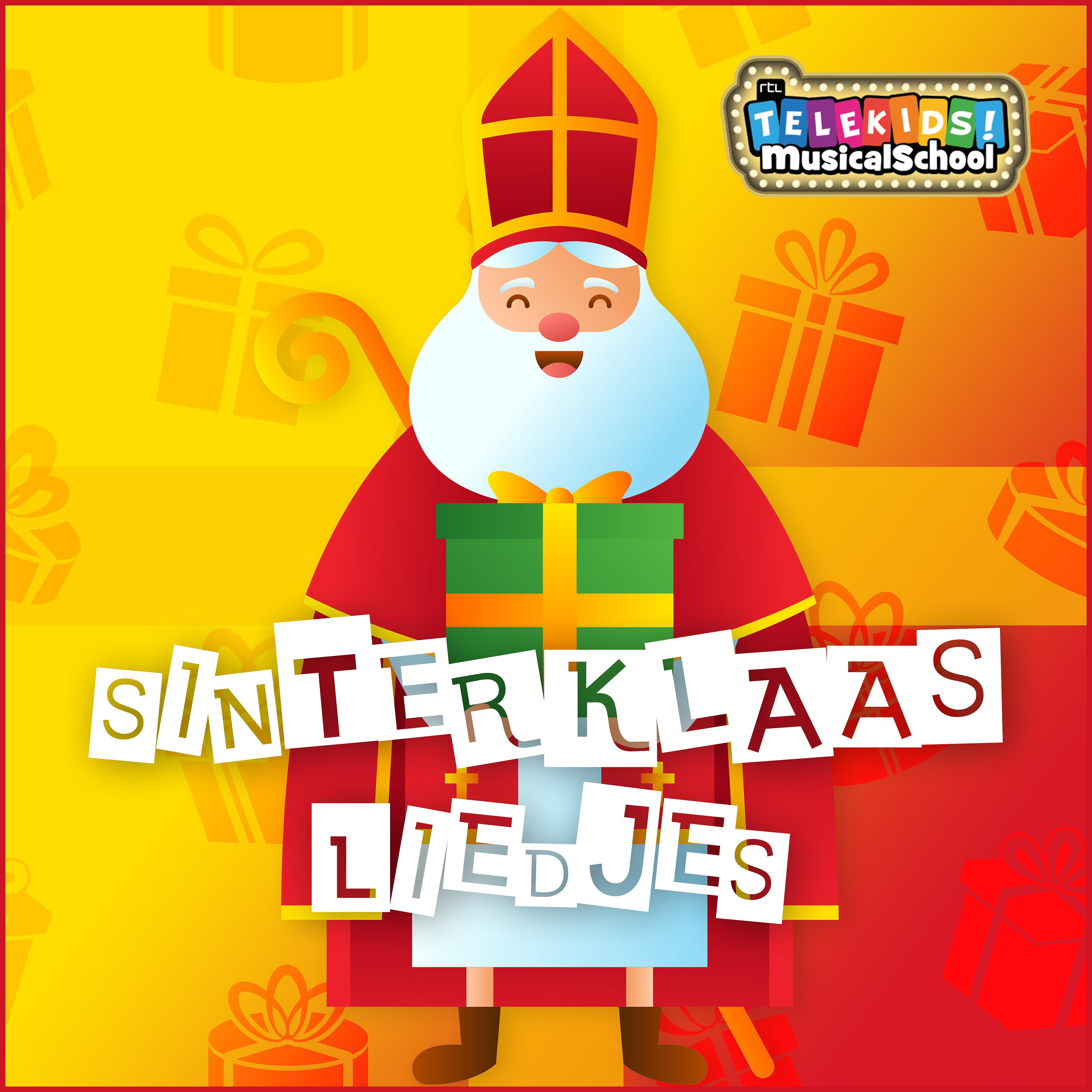 Постер альбома Sinterklaasliedjes