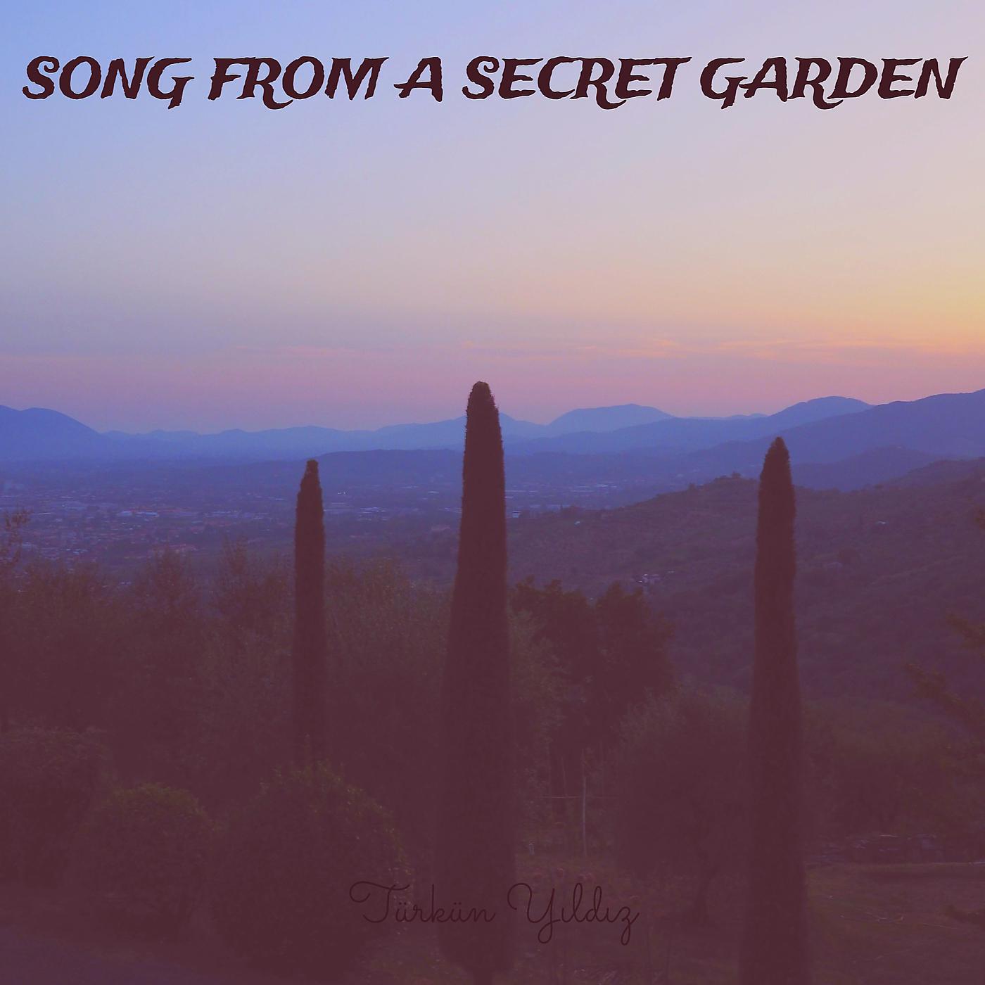 Постер альбома Song from a Secret Garden