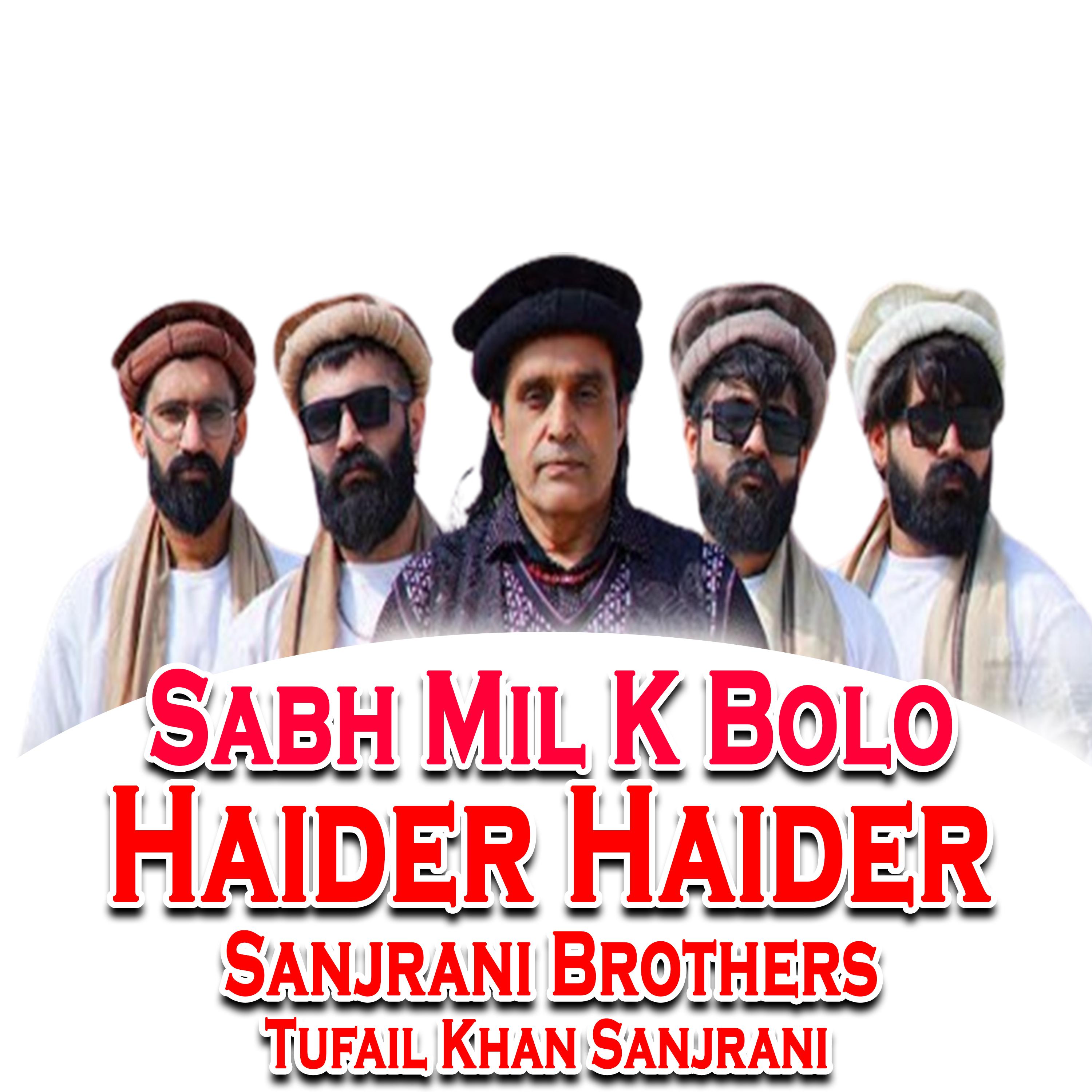 Постер альбома Sabh Mil K Bolo Haider Haider