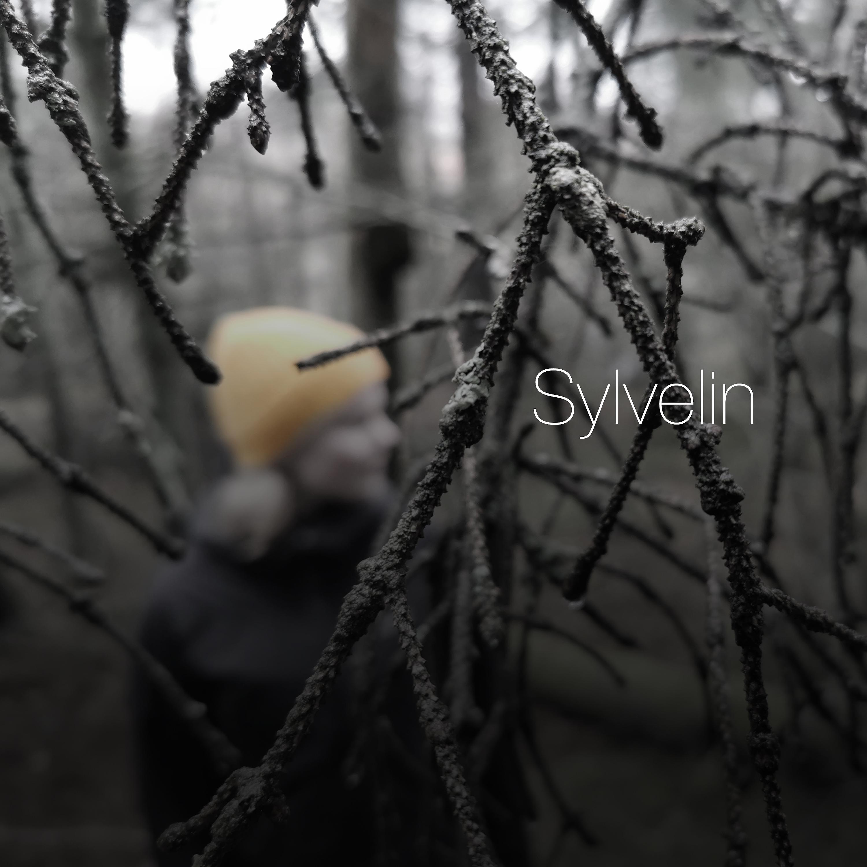 Постер альбома Sylvelin (Radio Edit)