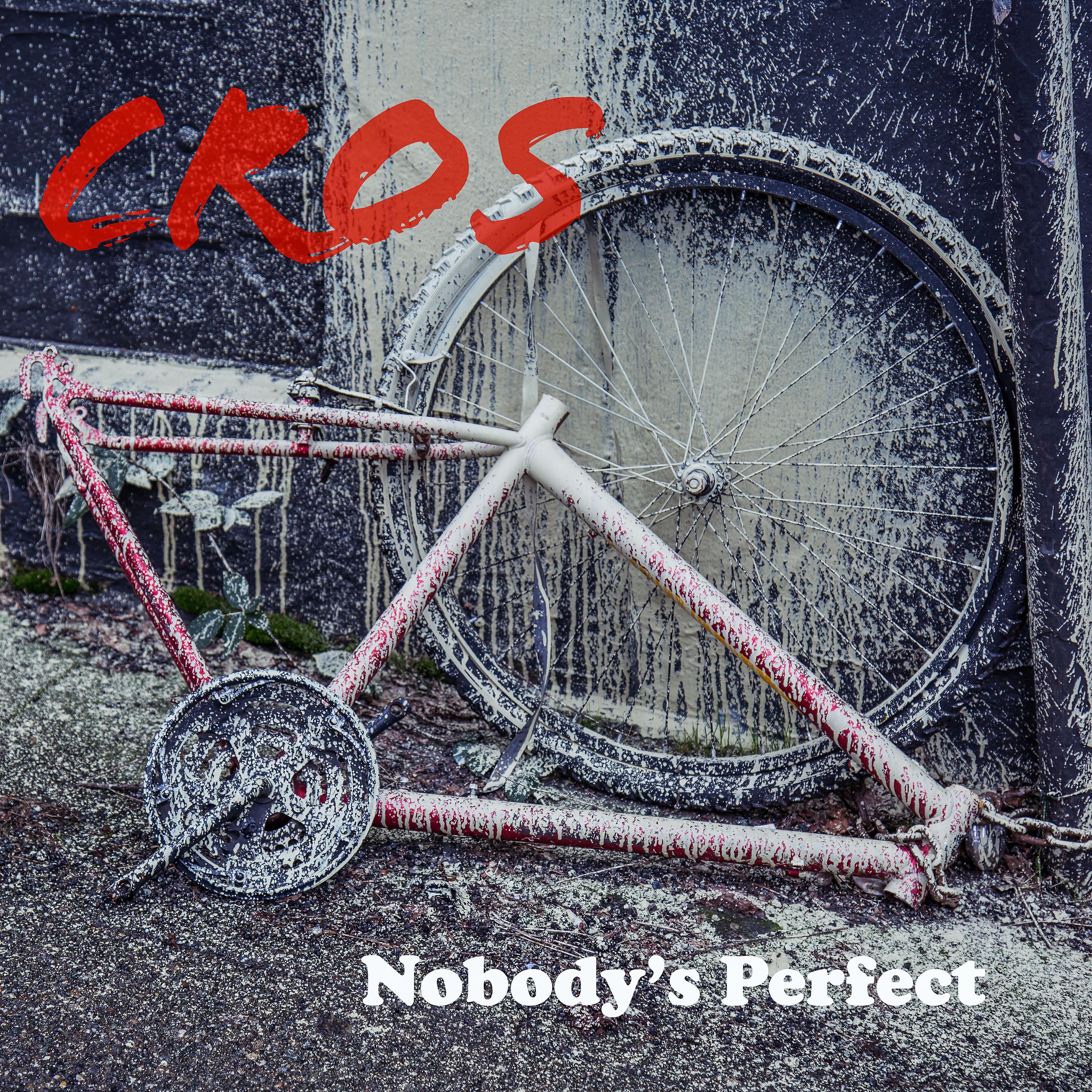 Постер альбома Nobody's Perfect