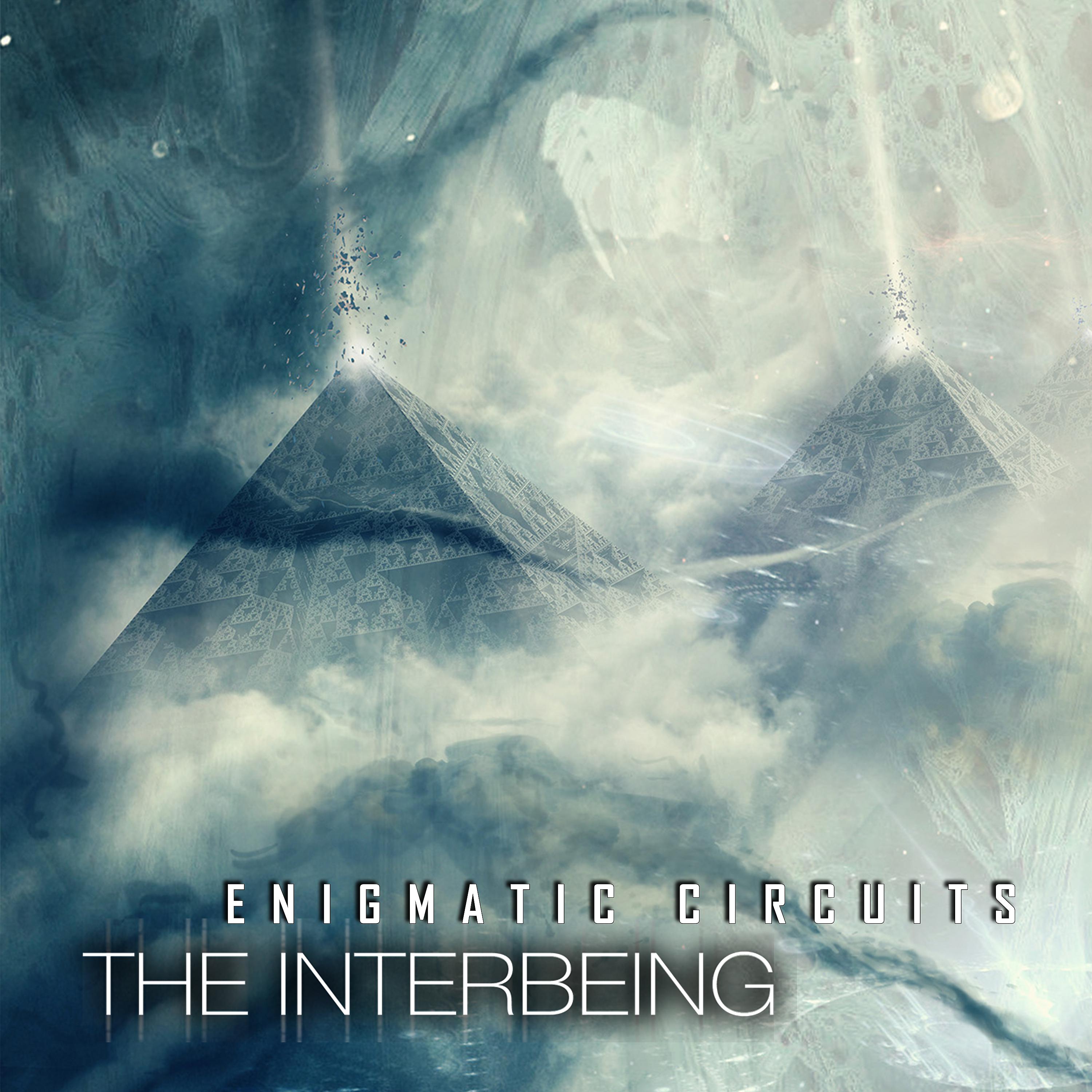 Постер альбома Enigmatic Circuits