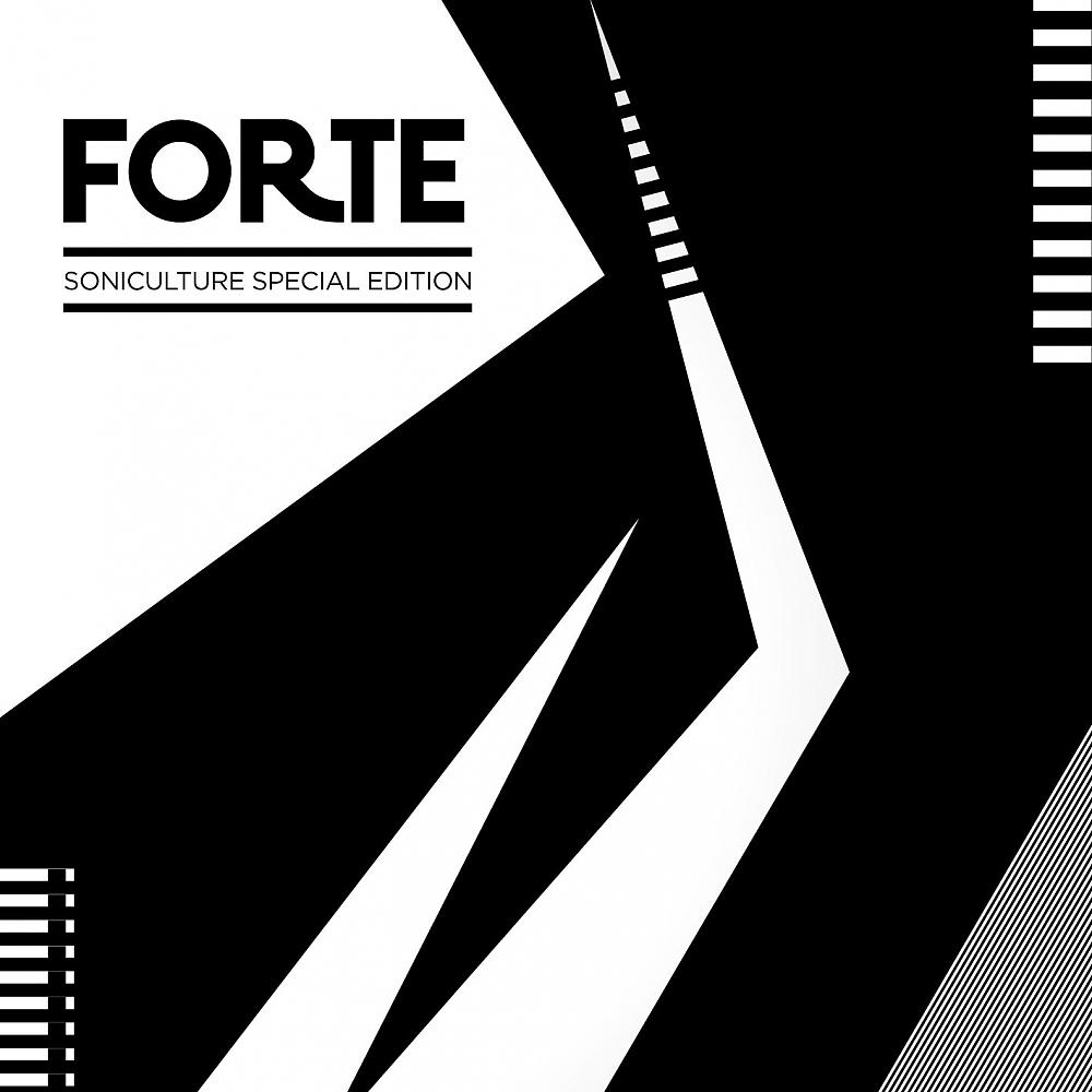 Постер альбома Forte