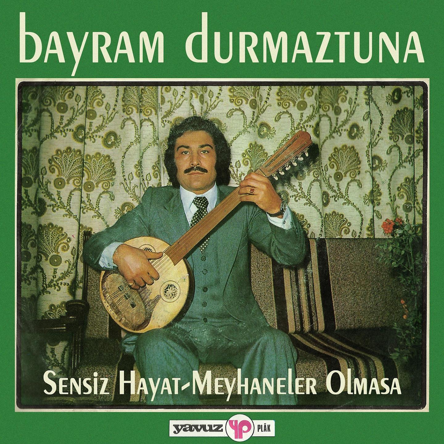 Постер альбома Sensiz Hayat - Meyhaneler Olmasa