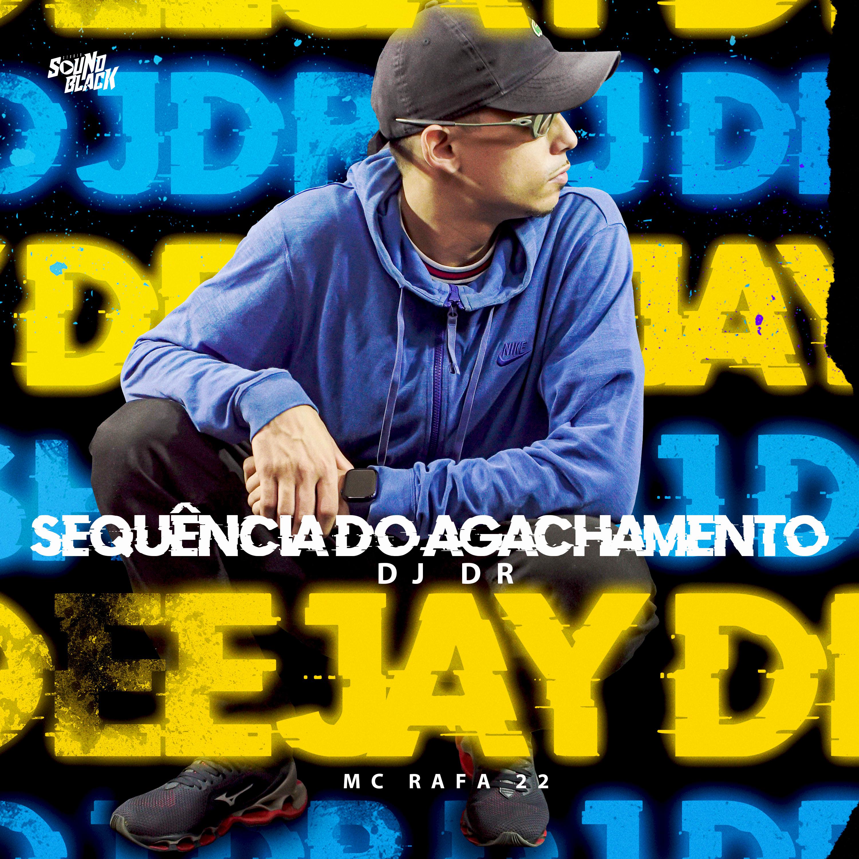 Постер альбома Sequência do Agachamento