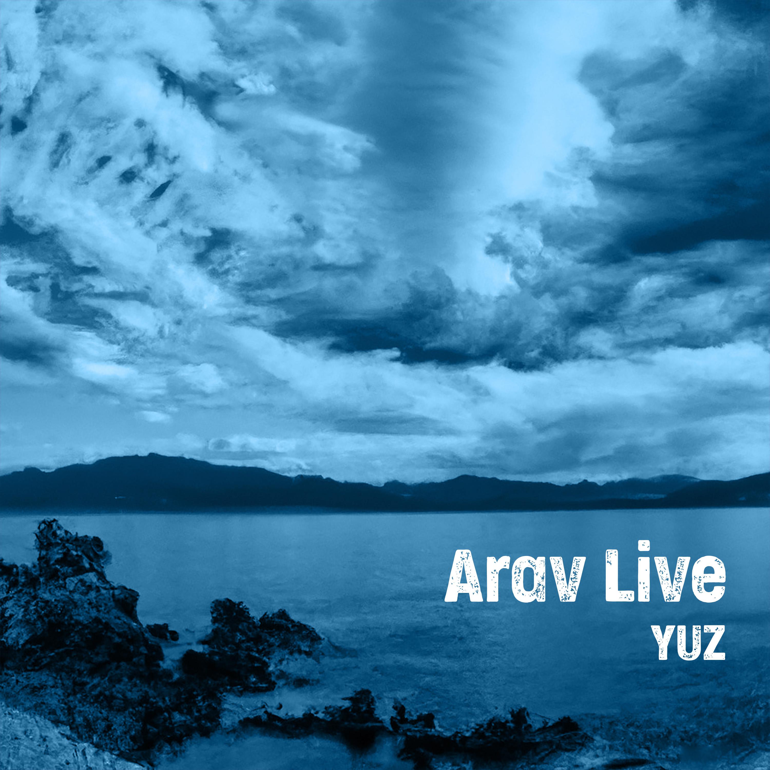 Постер альбома Arav